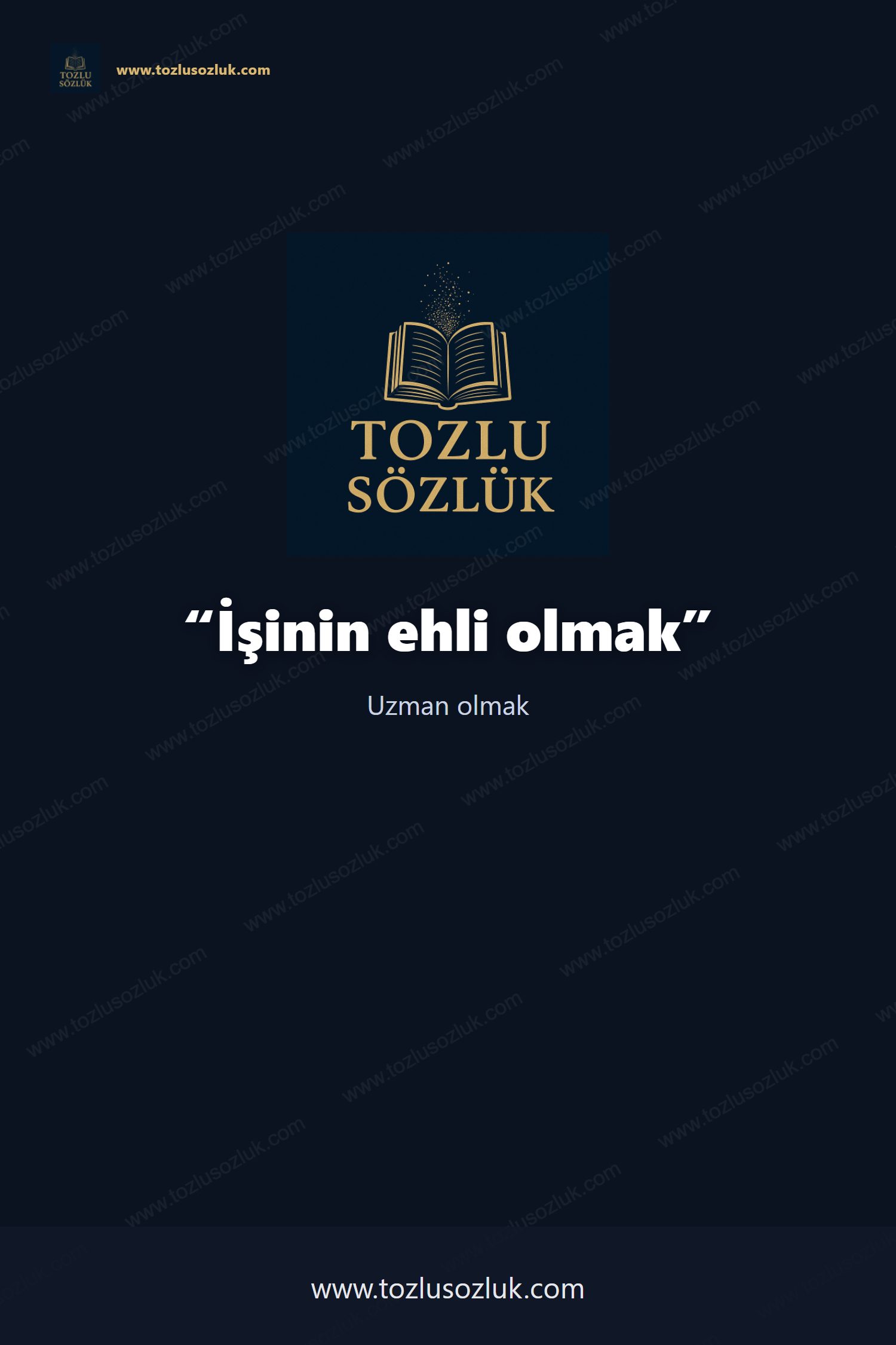 İşinin ehli olmak Pinterest görseli