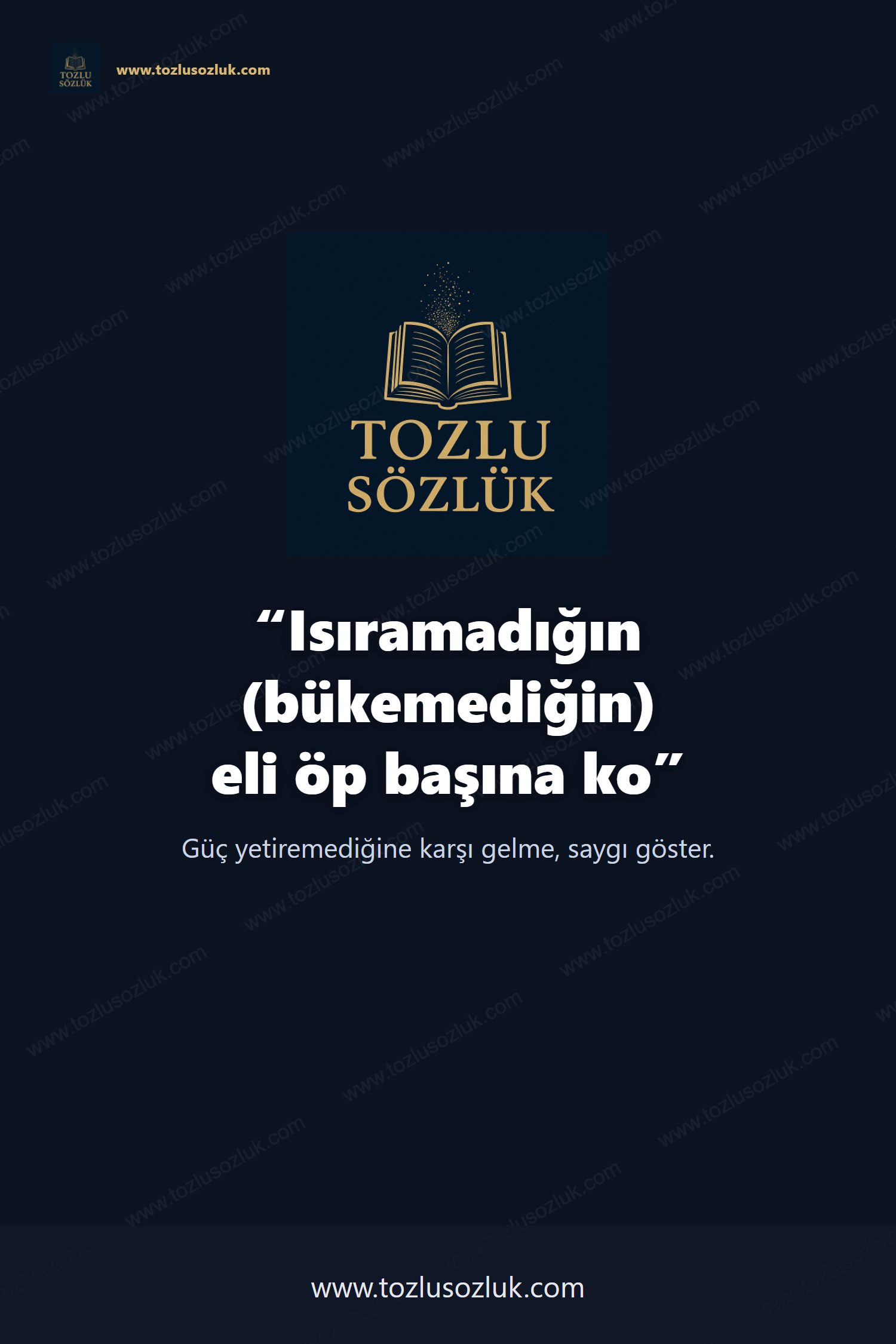 Isıramadığın (bükemediğin) eli öp başına ko Pinterest görseli