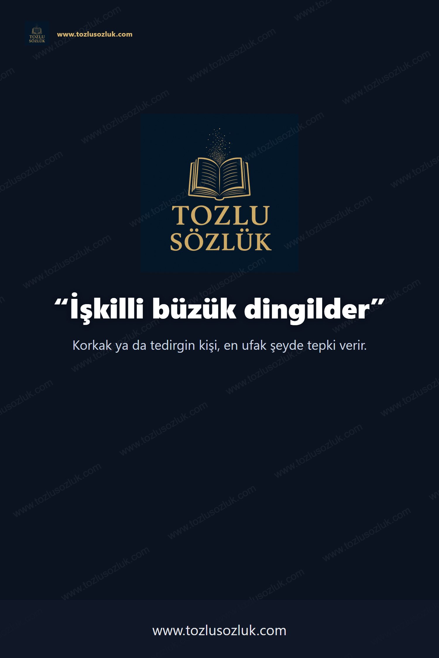 İşkilli büzük dingilder Pinterest görseli