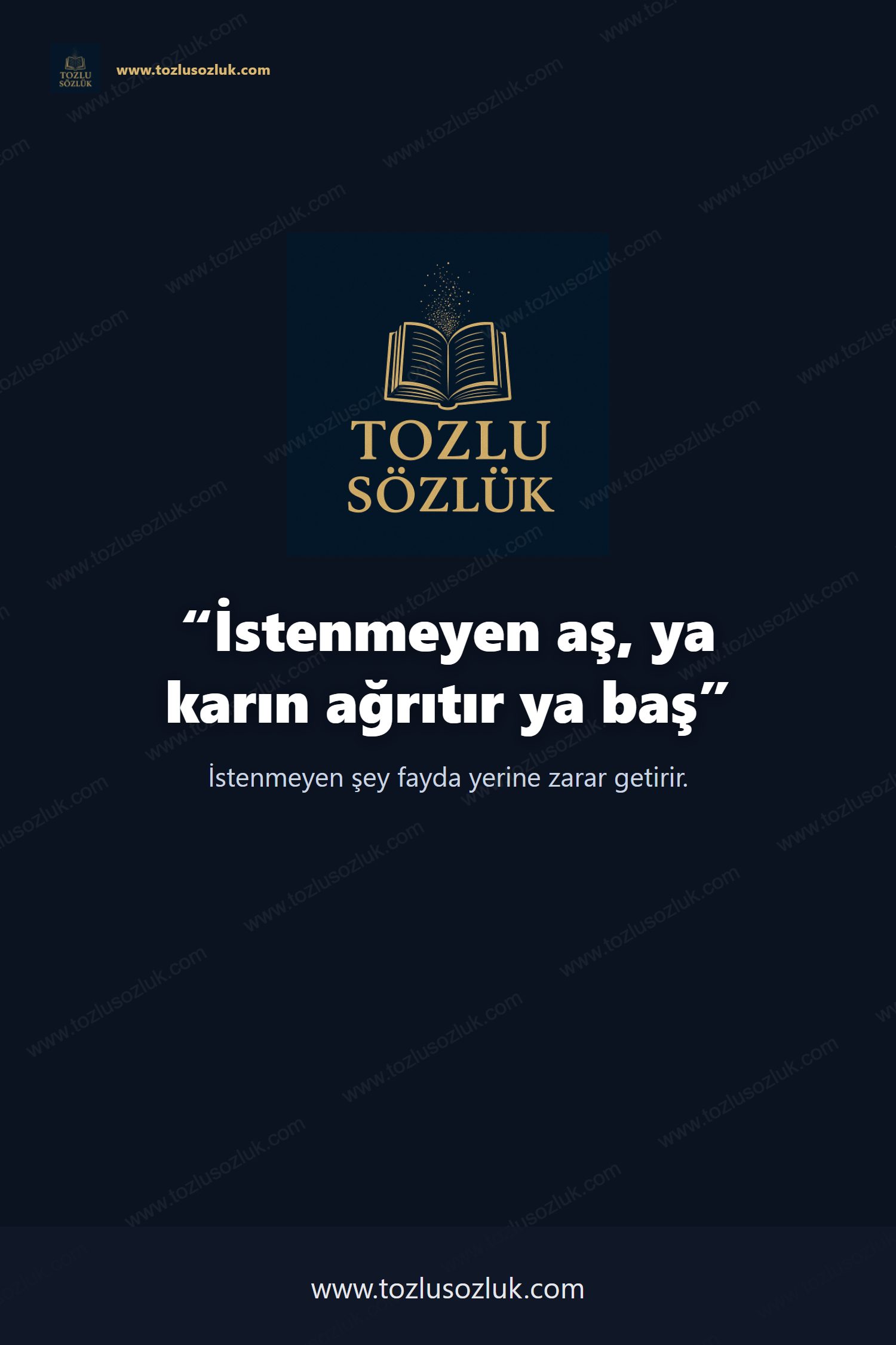 İstenmeyen aş, ya karın ağrıtır ya baş Pinterest görseli