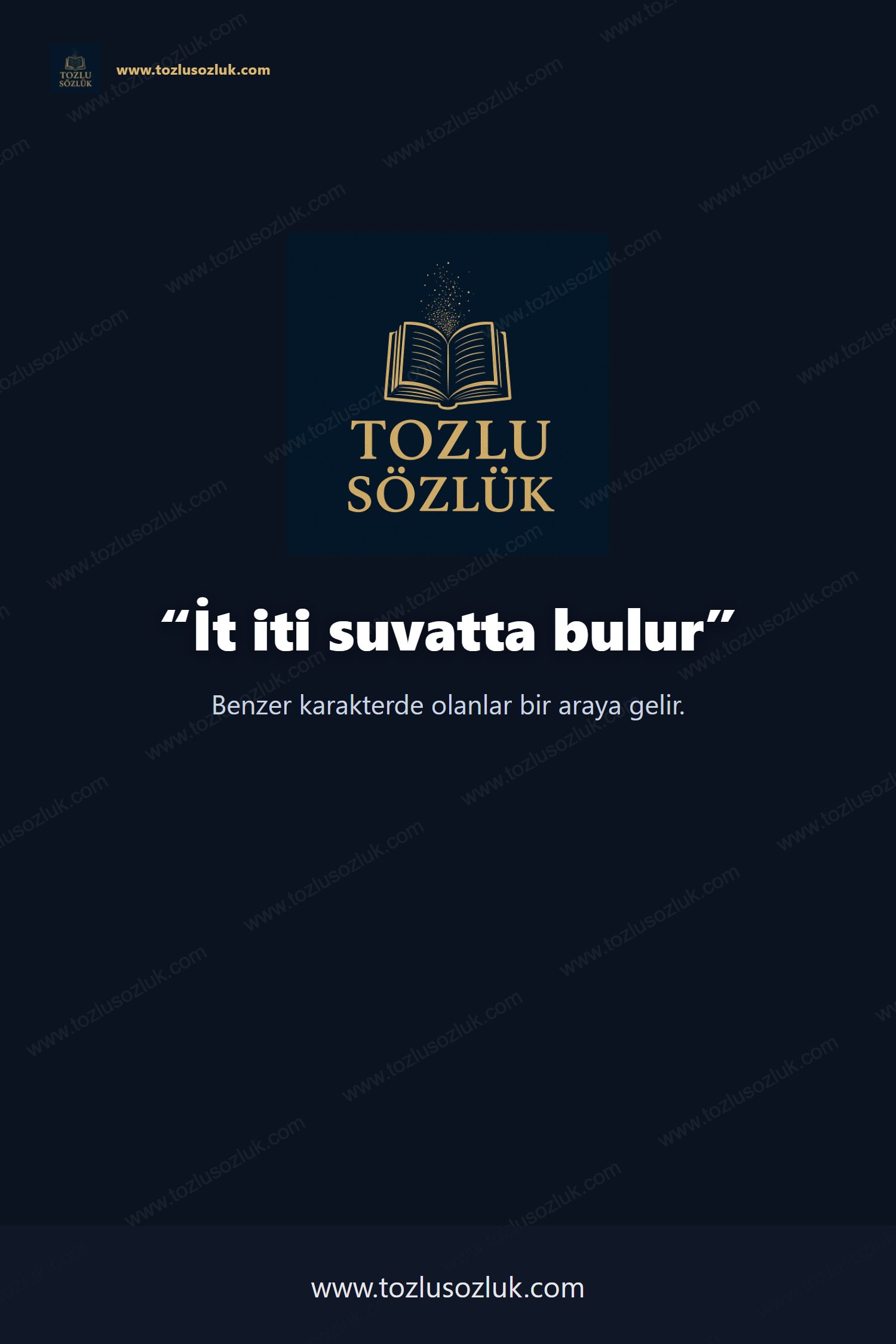 İt iti suvatta bulur Pinterest görseli