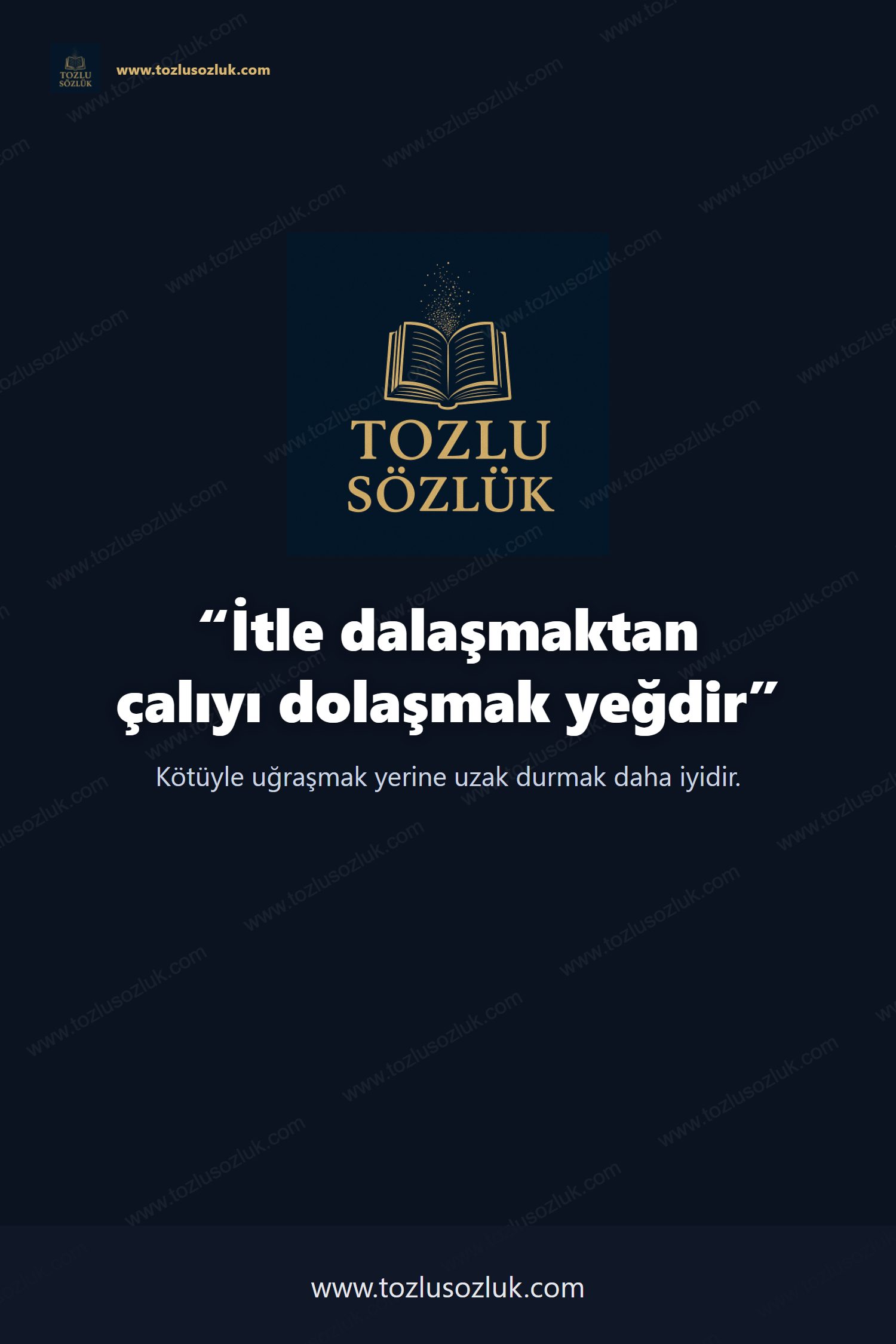 İtle dalaşmaktan çalıyı dolaşmak yeğdir Pinterest görseli