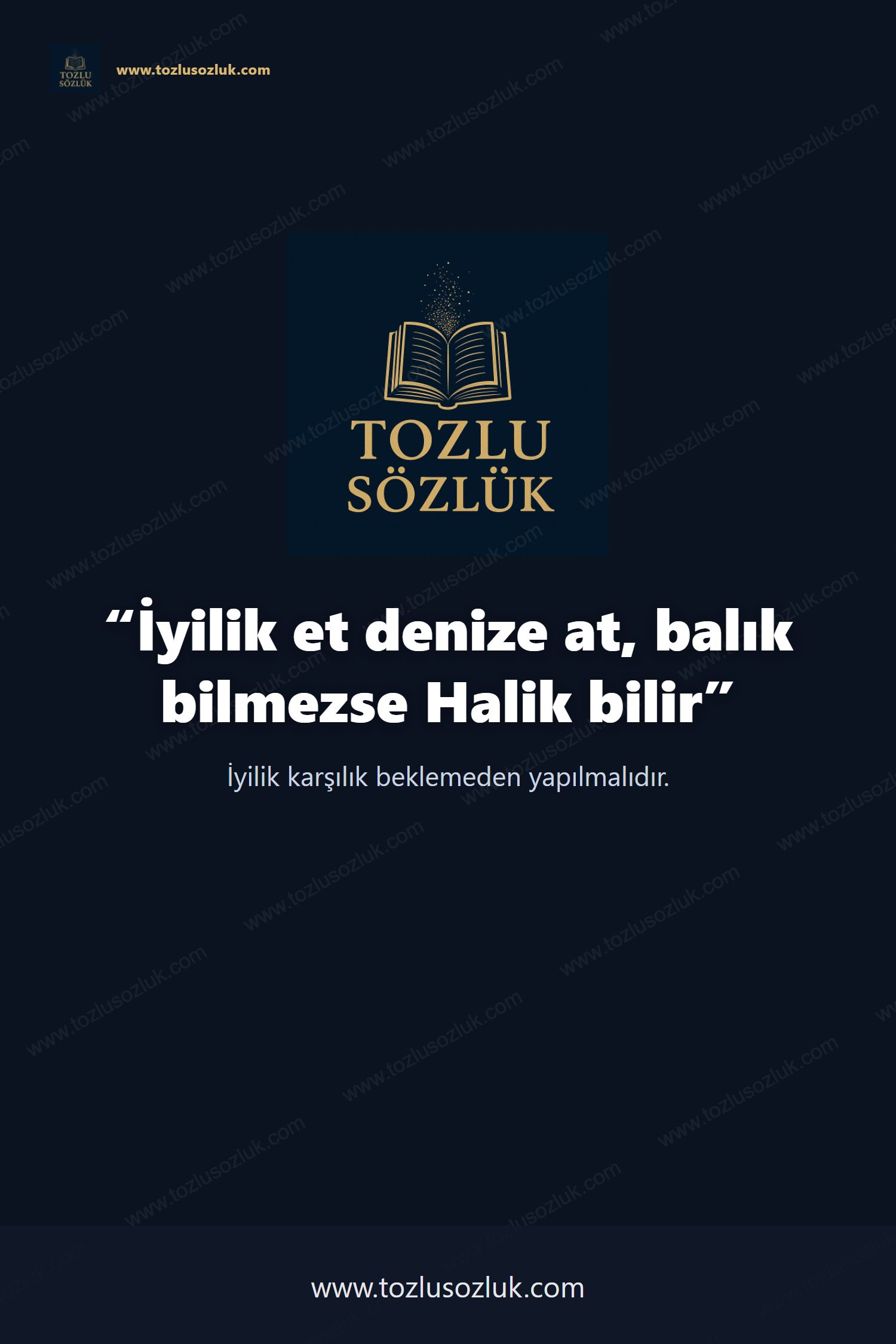 İyilik et denize at, balık bilmezse Halik bilir Pinterest görseli