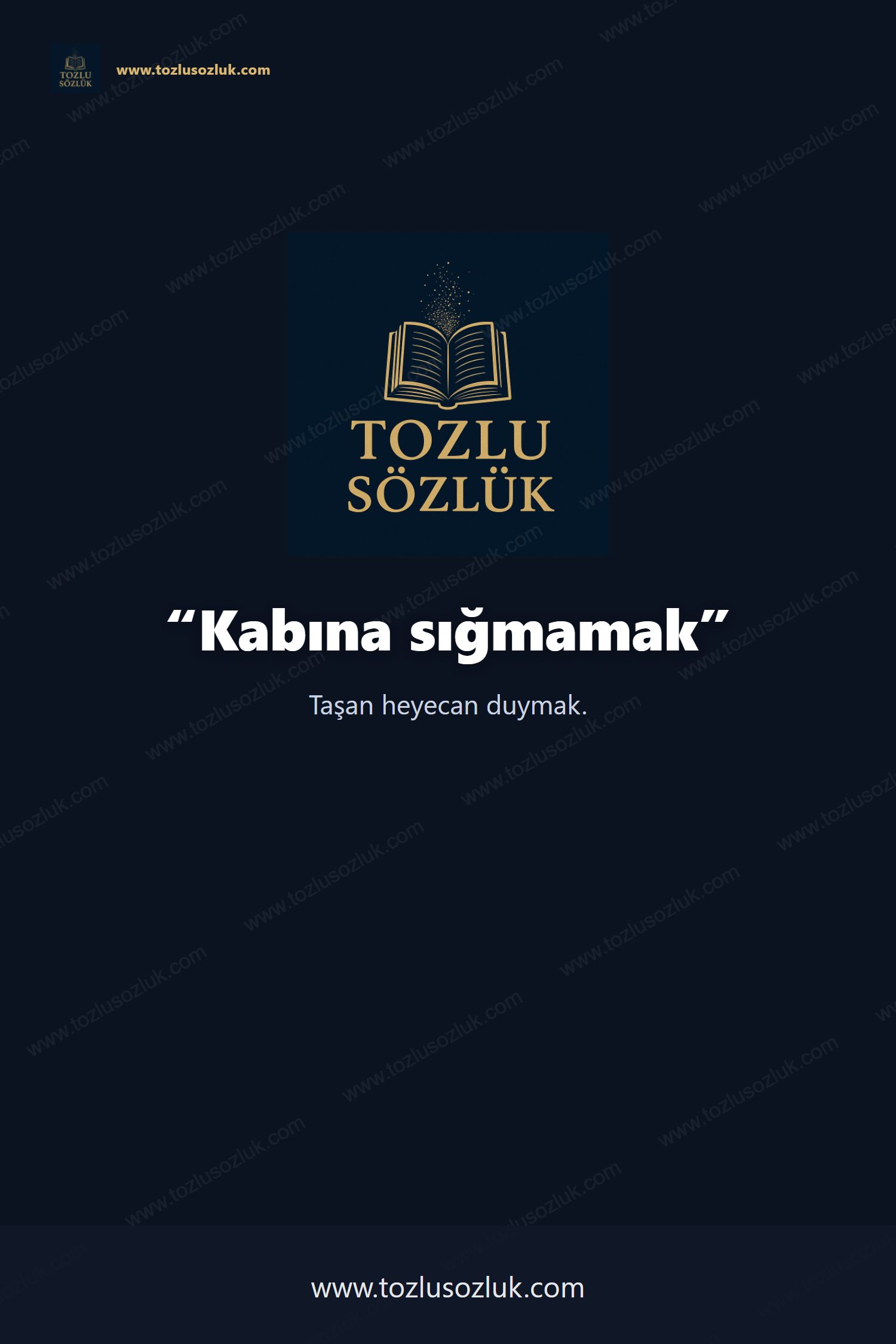 Kabına sığmamak Pinterest görseli