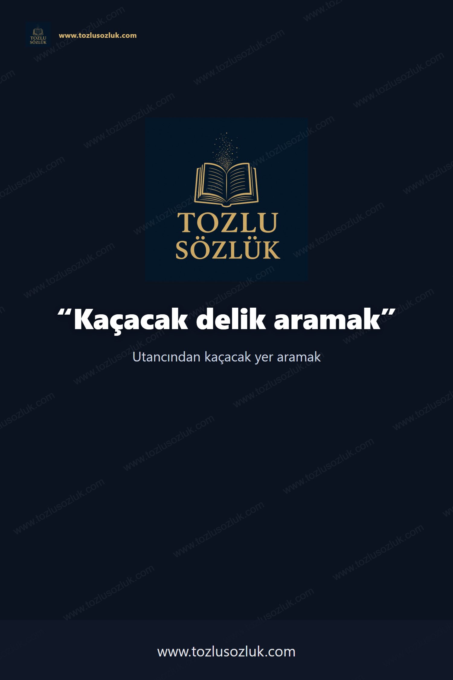 Kaçacak delik aramak Pinterest görseli