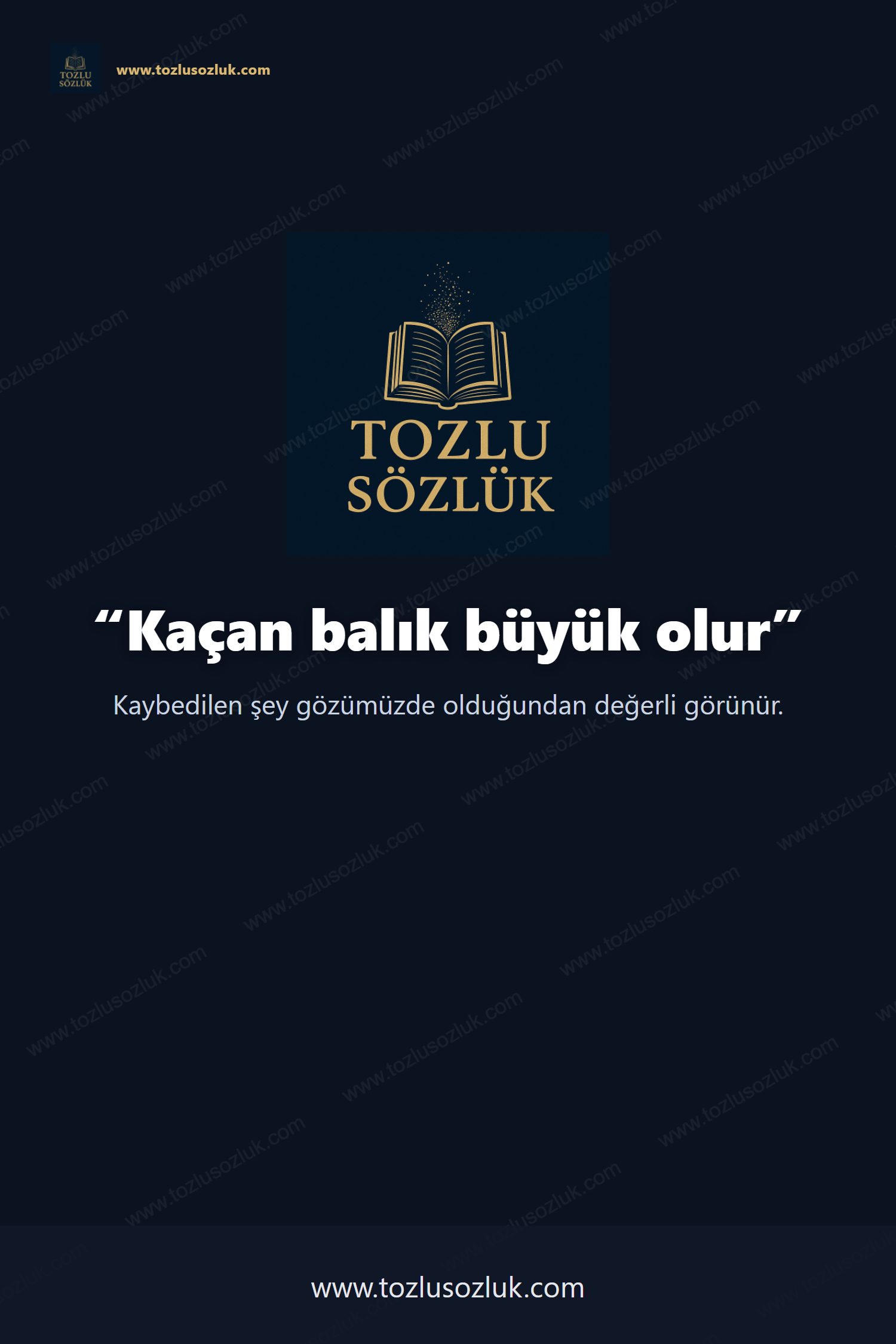 Kaçan balık büyük olur Pinterest görseli