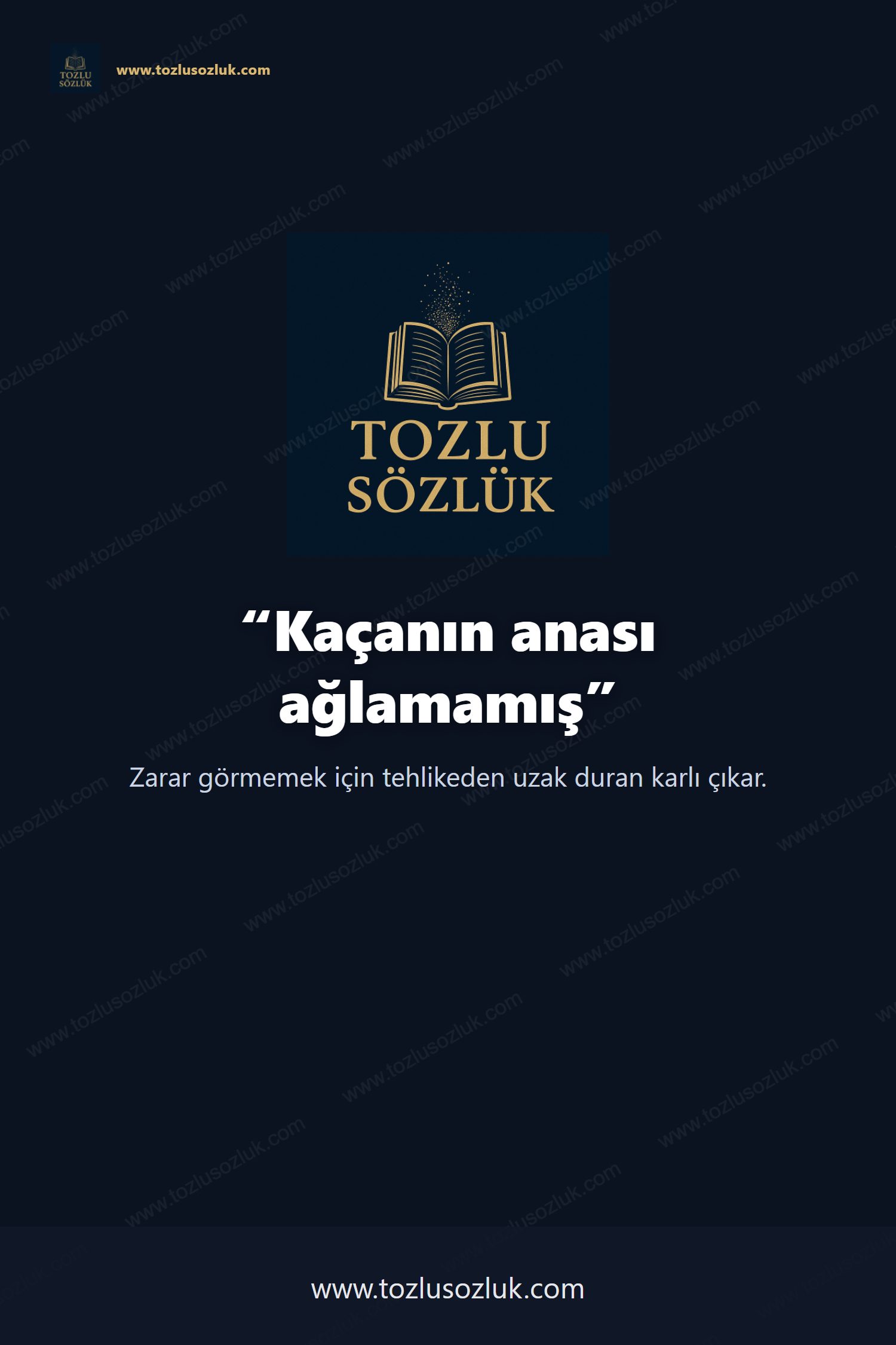 Kaçanın anası ağlamamış Pinterest görseli