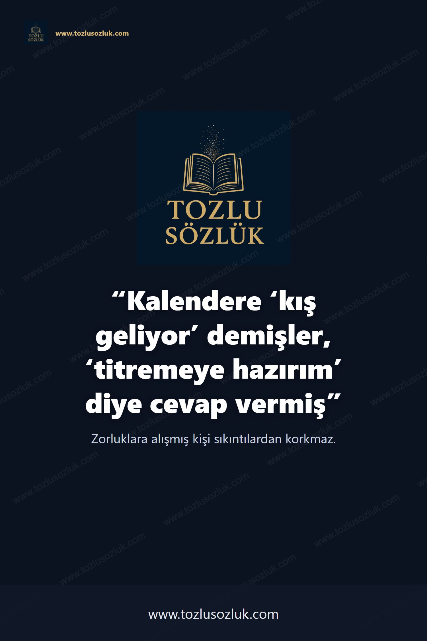 Kalendere ‘kış geliyor’ demişler, ‘titremeye hazırım’ diye cevap vermiş Pinterest görseli