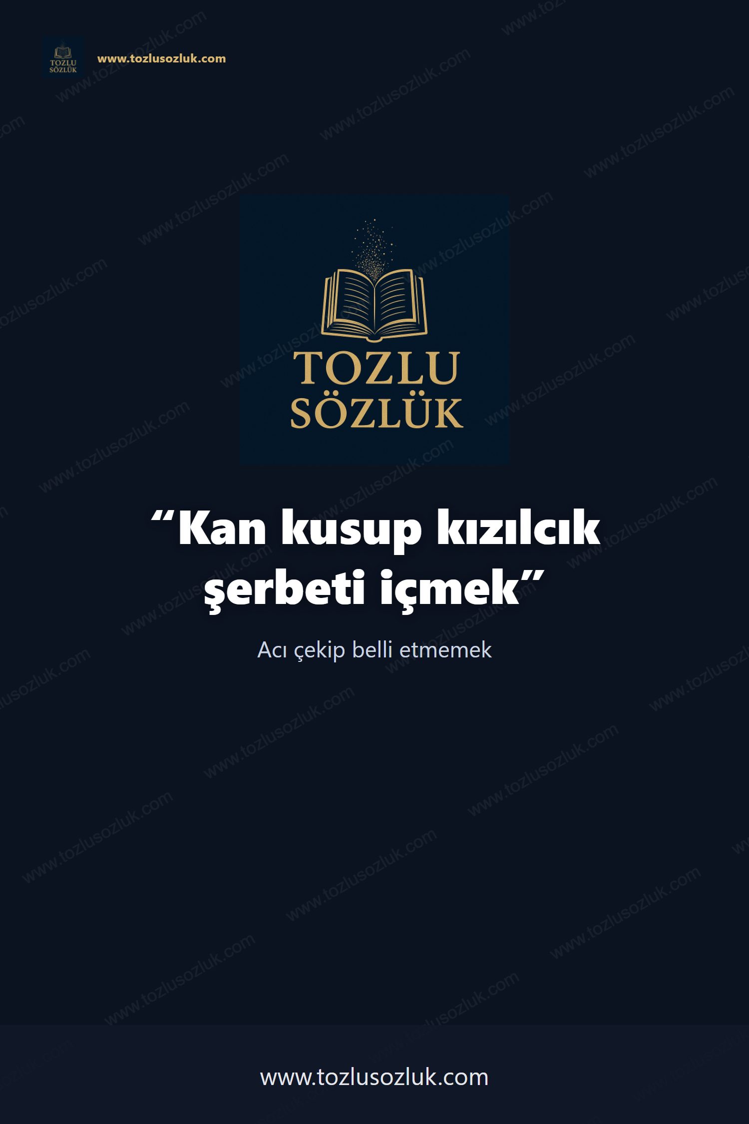 Kan kusup kızılcık şerbeti içmek Pinterest görseli