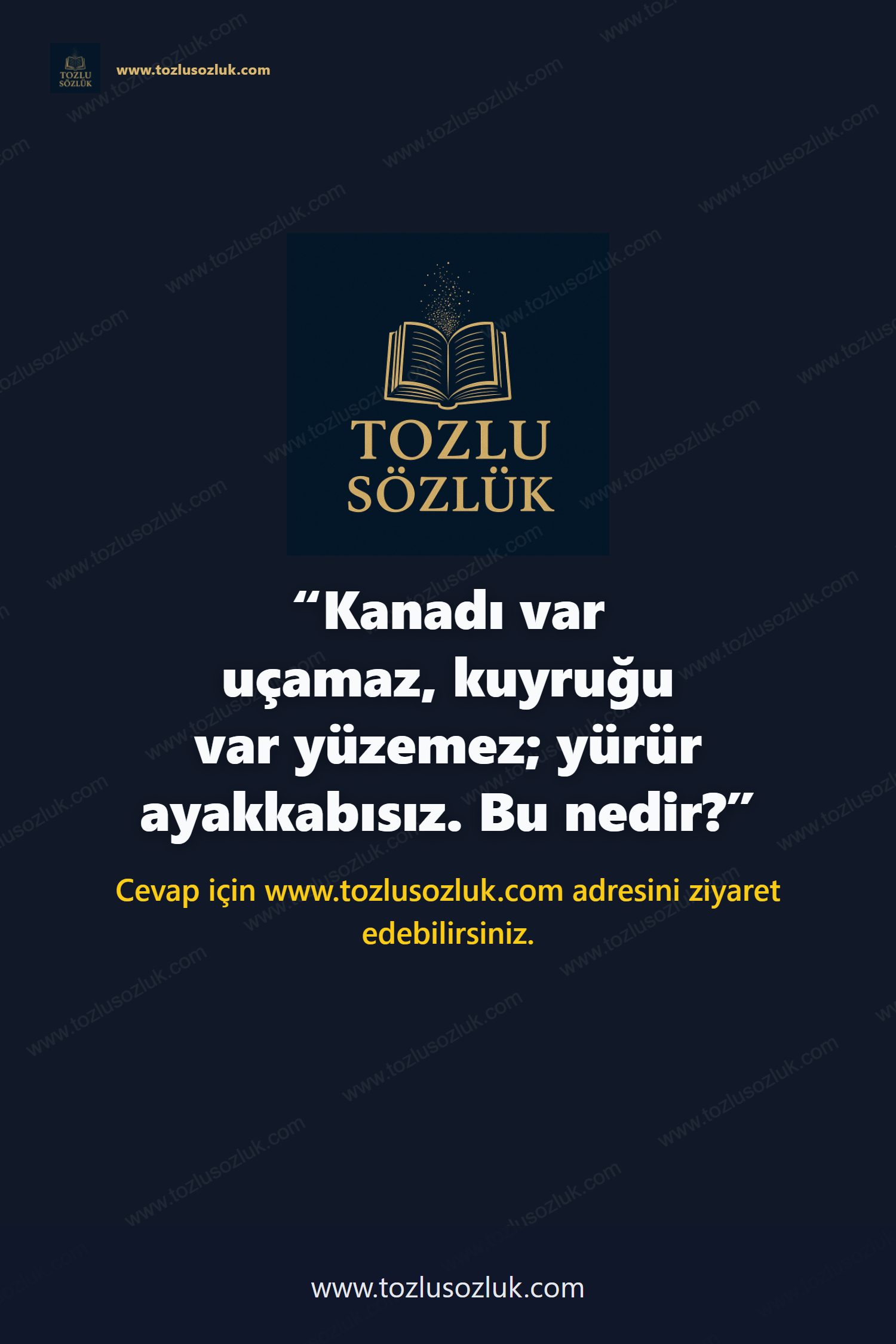 Kanadı var uçamaz, kuyruğu var yüzemez; yürür ayakkabısız. Bu nedir? Pinterest görseli