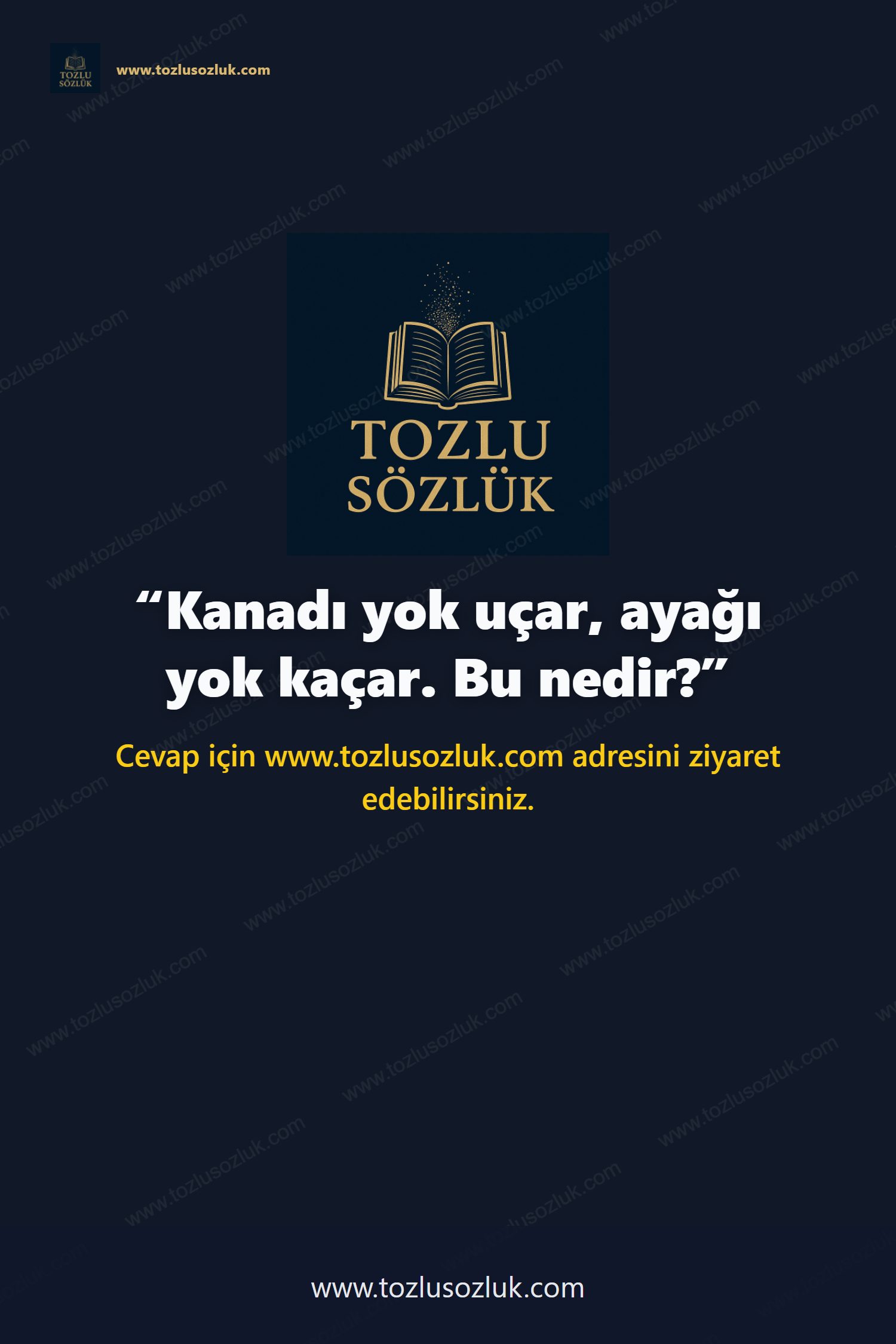 Kanadı yok uçar, ayağı yok kaçar. Bu nedir? Pinterest görseli