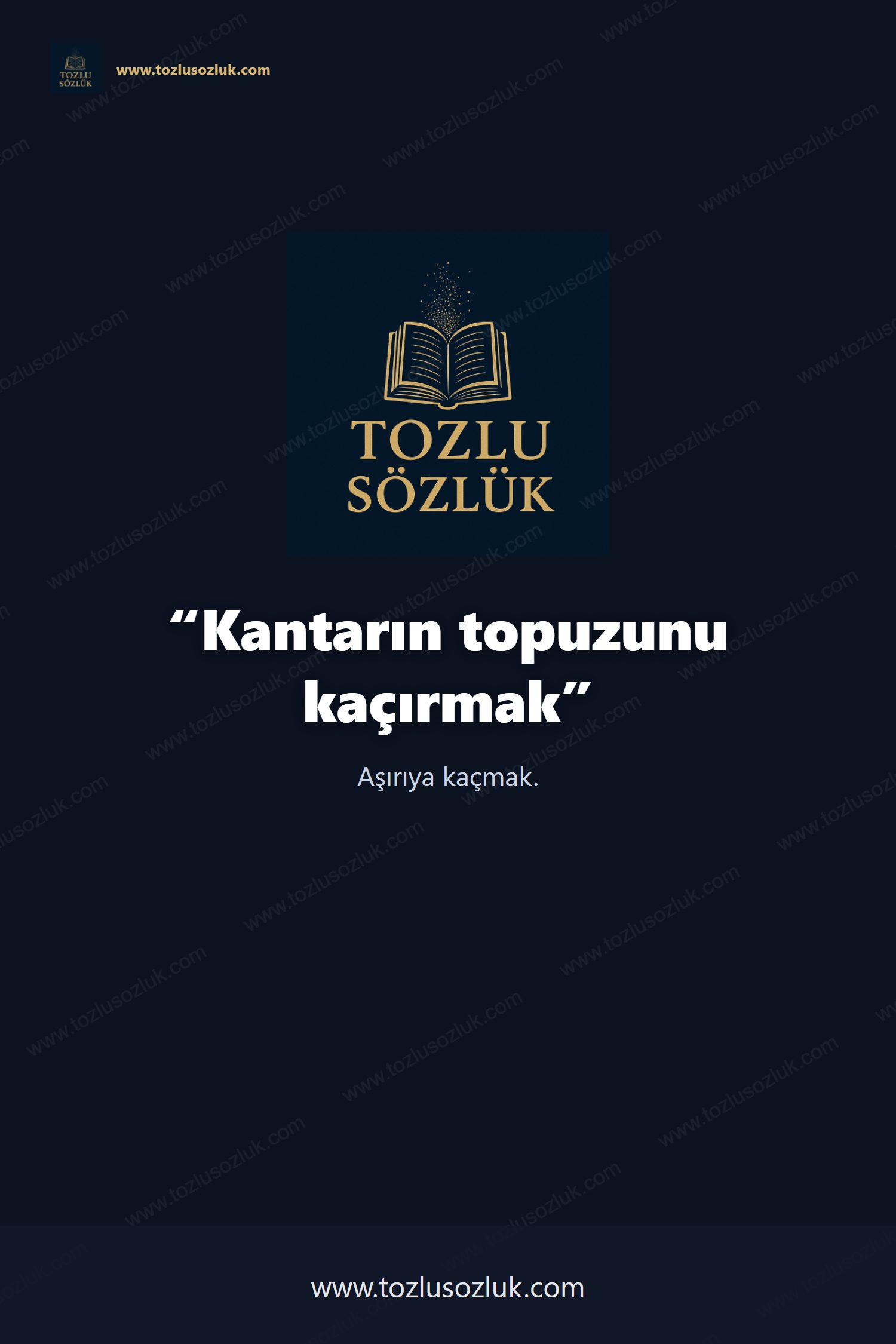 Kantarın topuzunu kaçırmak Pinterest görseli