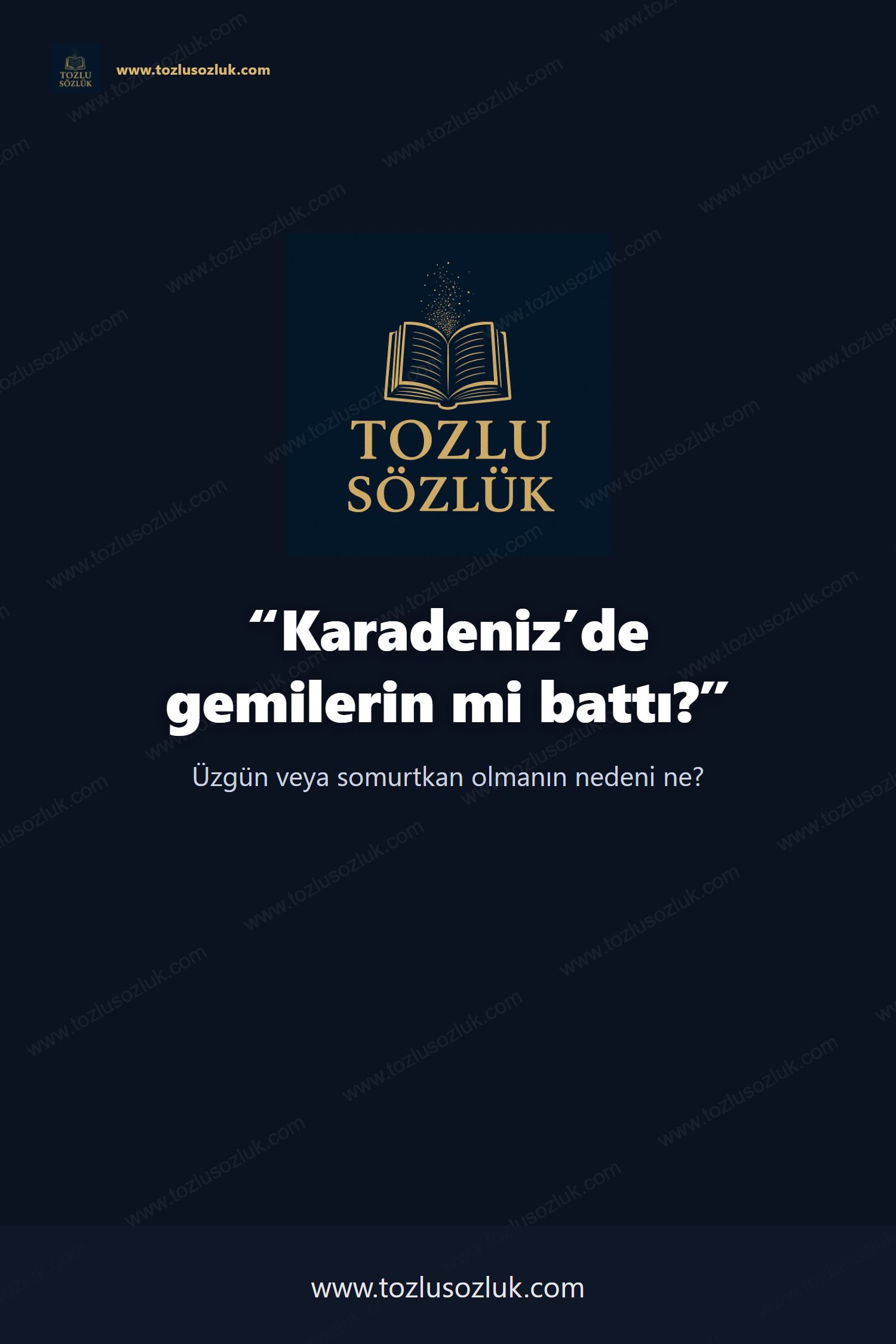 Karadeniz’de gemilerin mi battı? Pinterest görseli