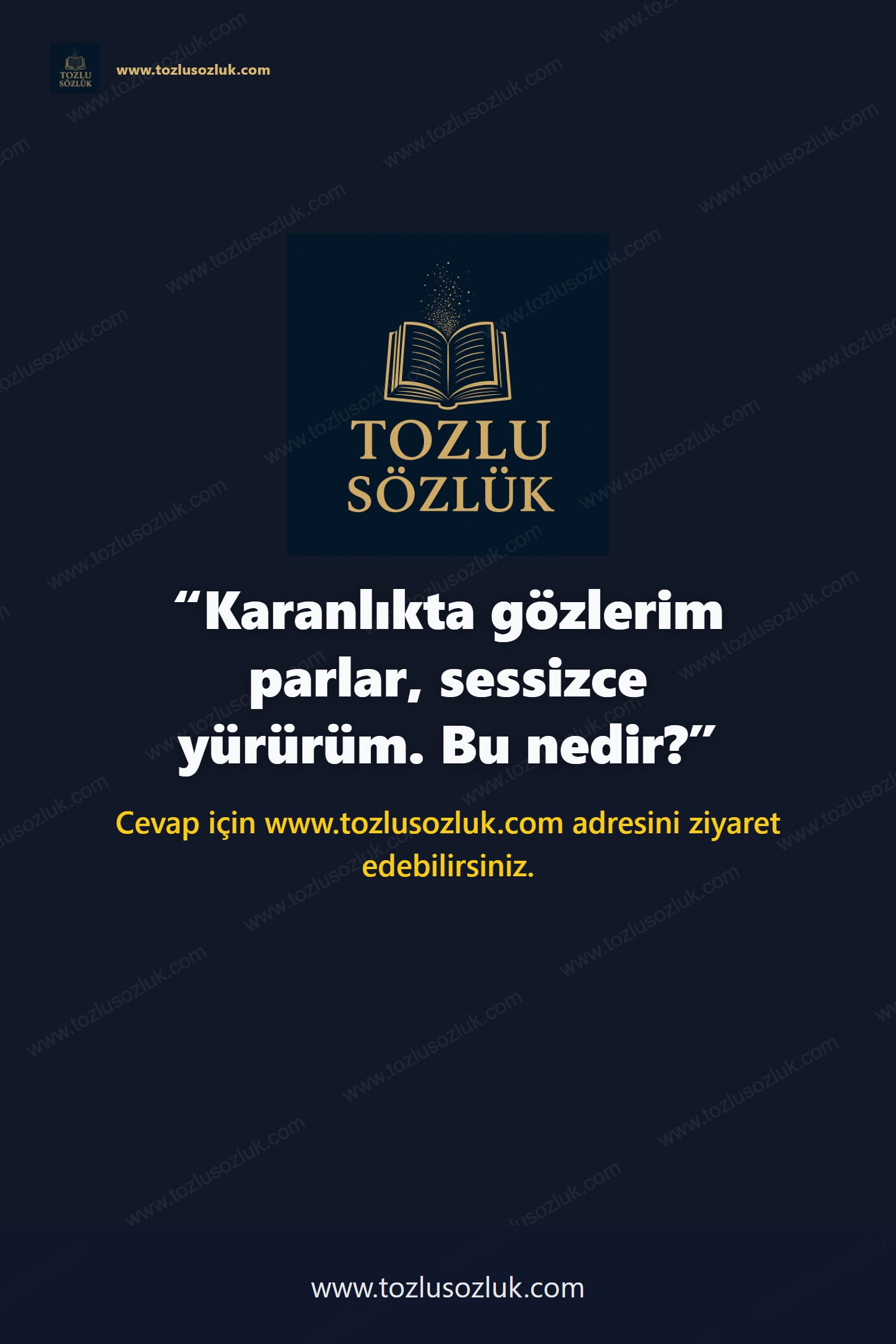 Karanlıkta gözlerim parlar, sessizce yürürüm. Bu nedir? Pinterest görseli