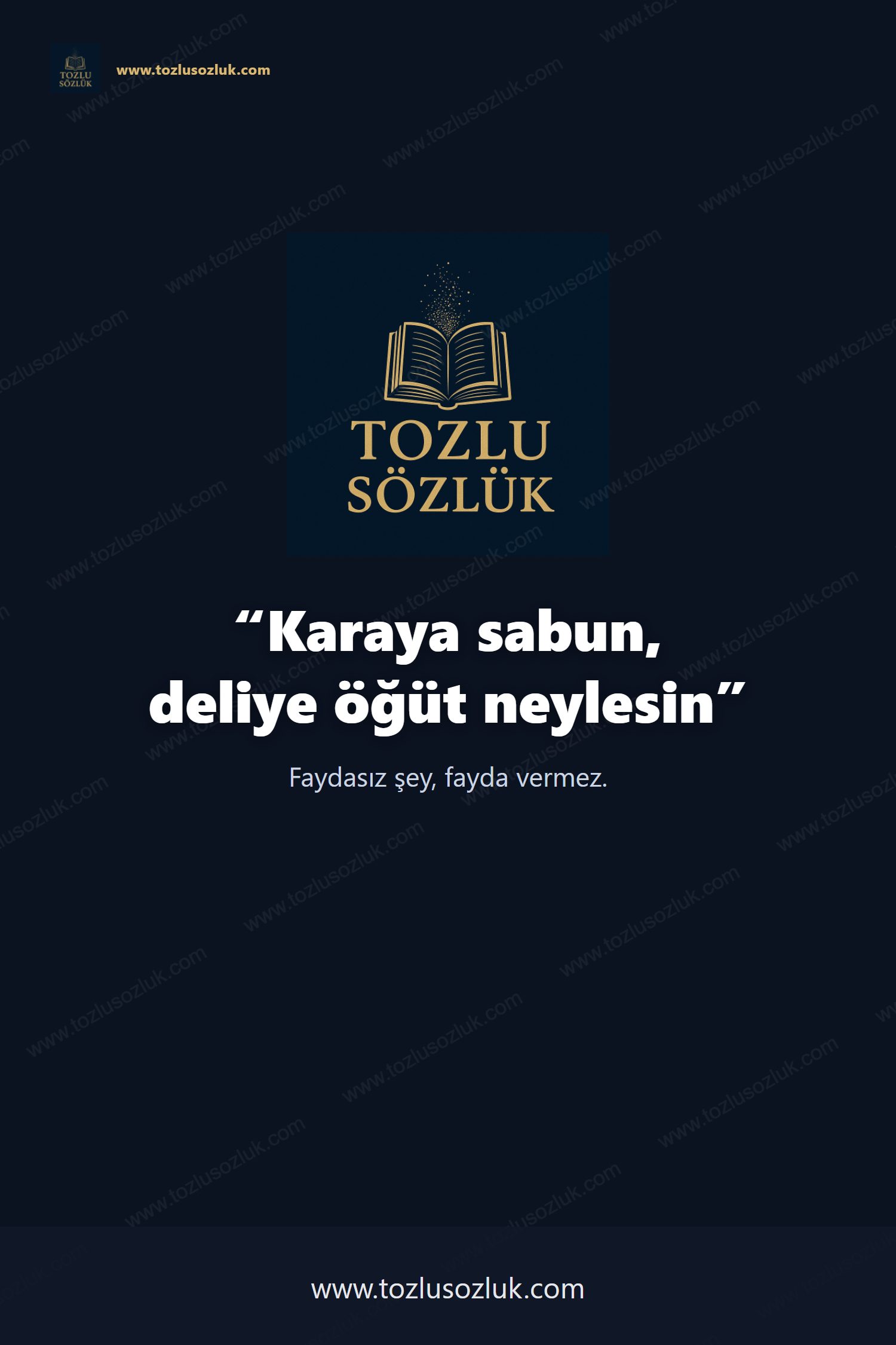 Karaya sabun, deliye öğüt neylesin Pinterest görseli