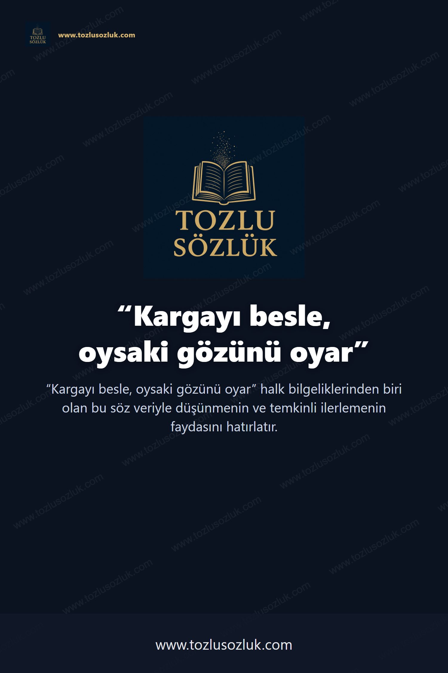 Kargayı besle, oysaki gözünü oyar Pinterest görseli