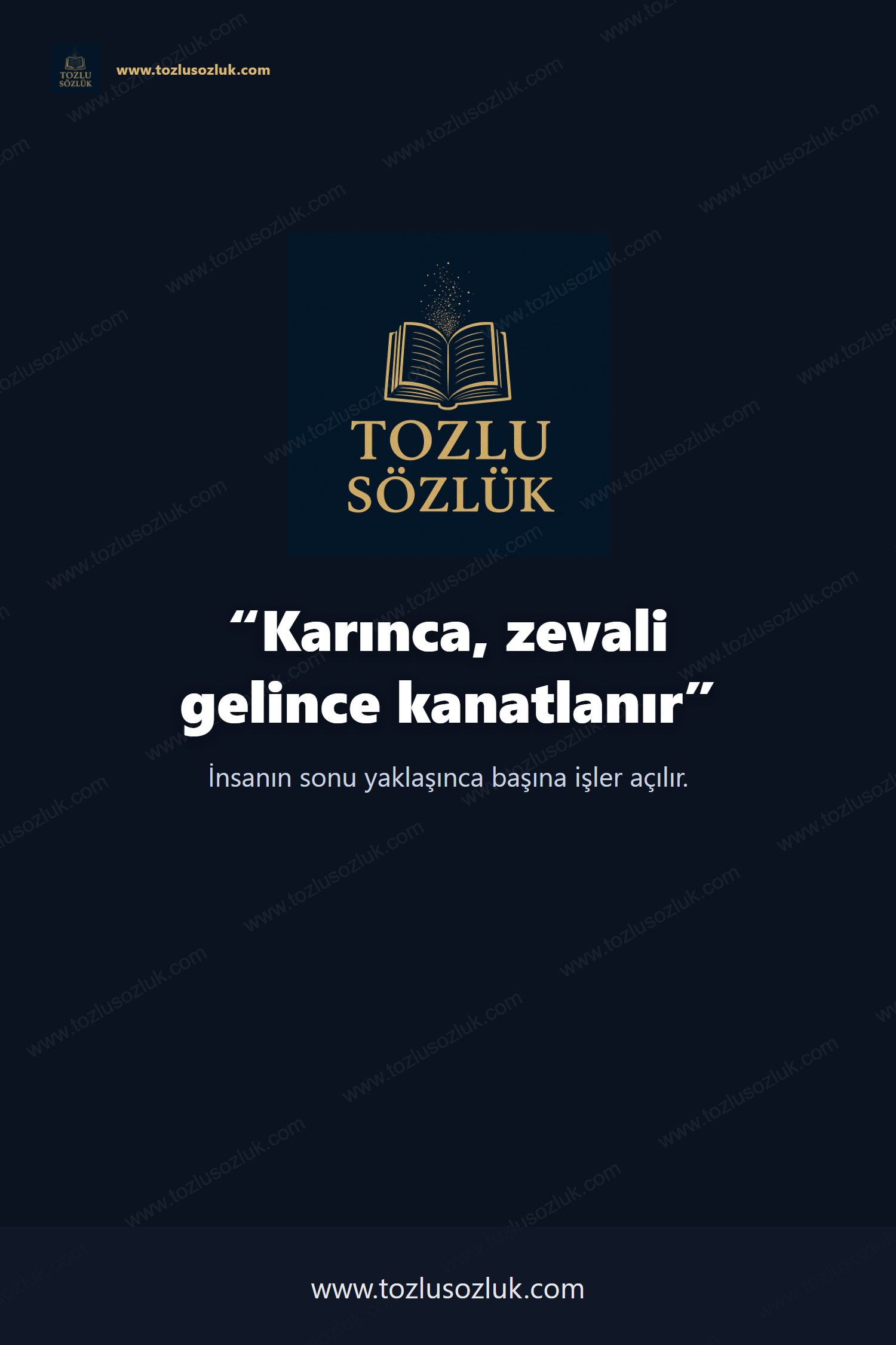 Karınca, zevali gelince kanatlanır Pinterest görseli