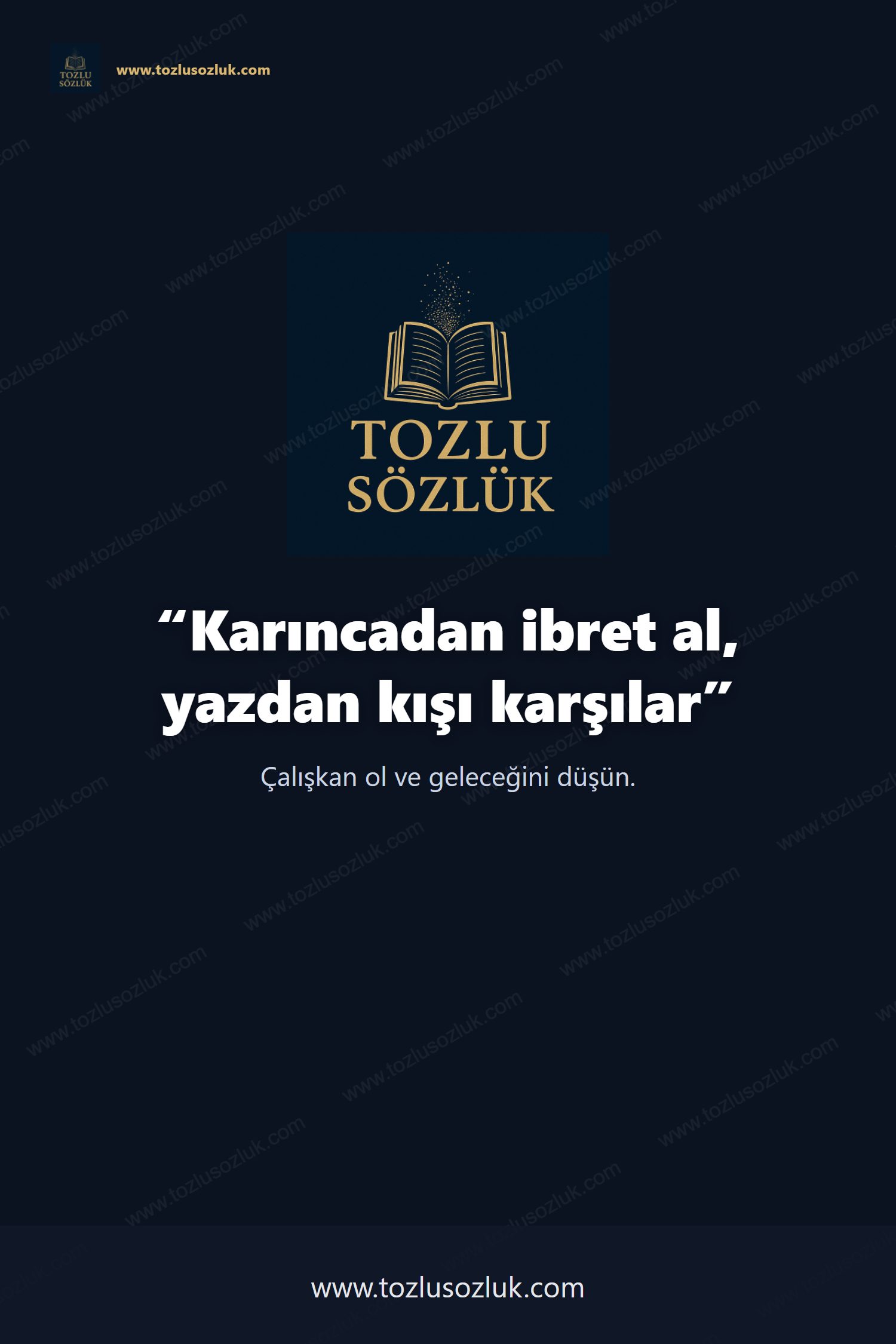 Karıncadan ibret al, yazdan kışı karşılar Pinterest görseli