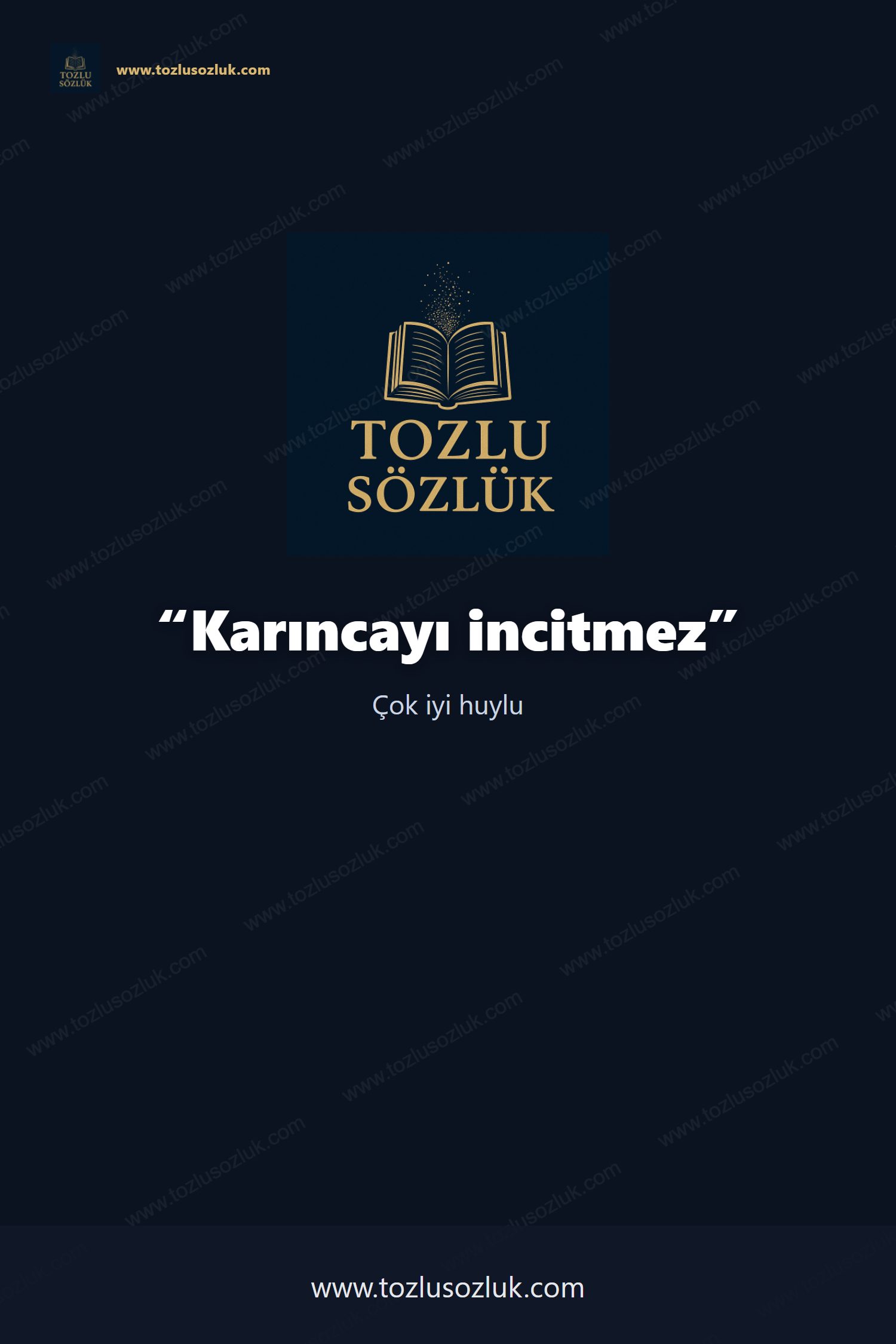 Karıncayı incitmez Pinterest görseli