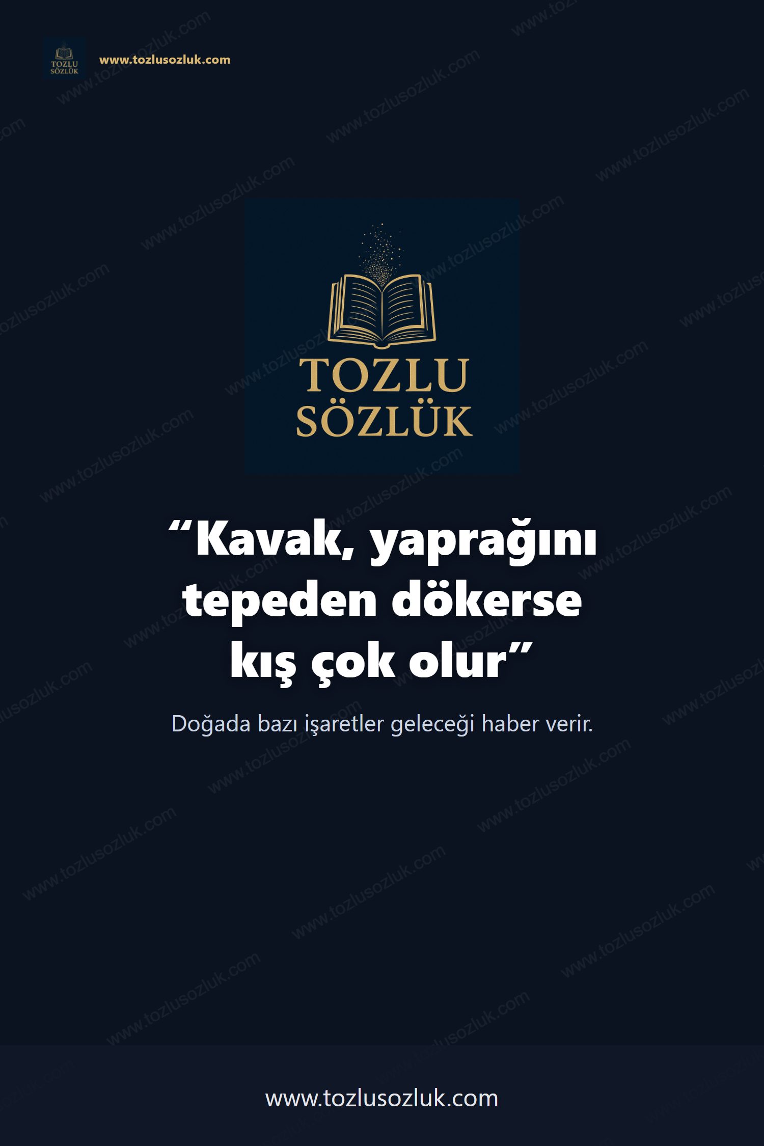 Kavak, yaprağını tepeden dökerse kış çok olur Pinterest görseli