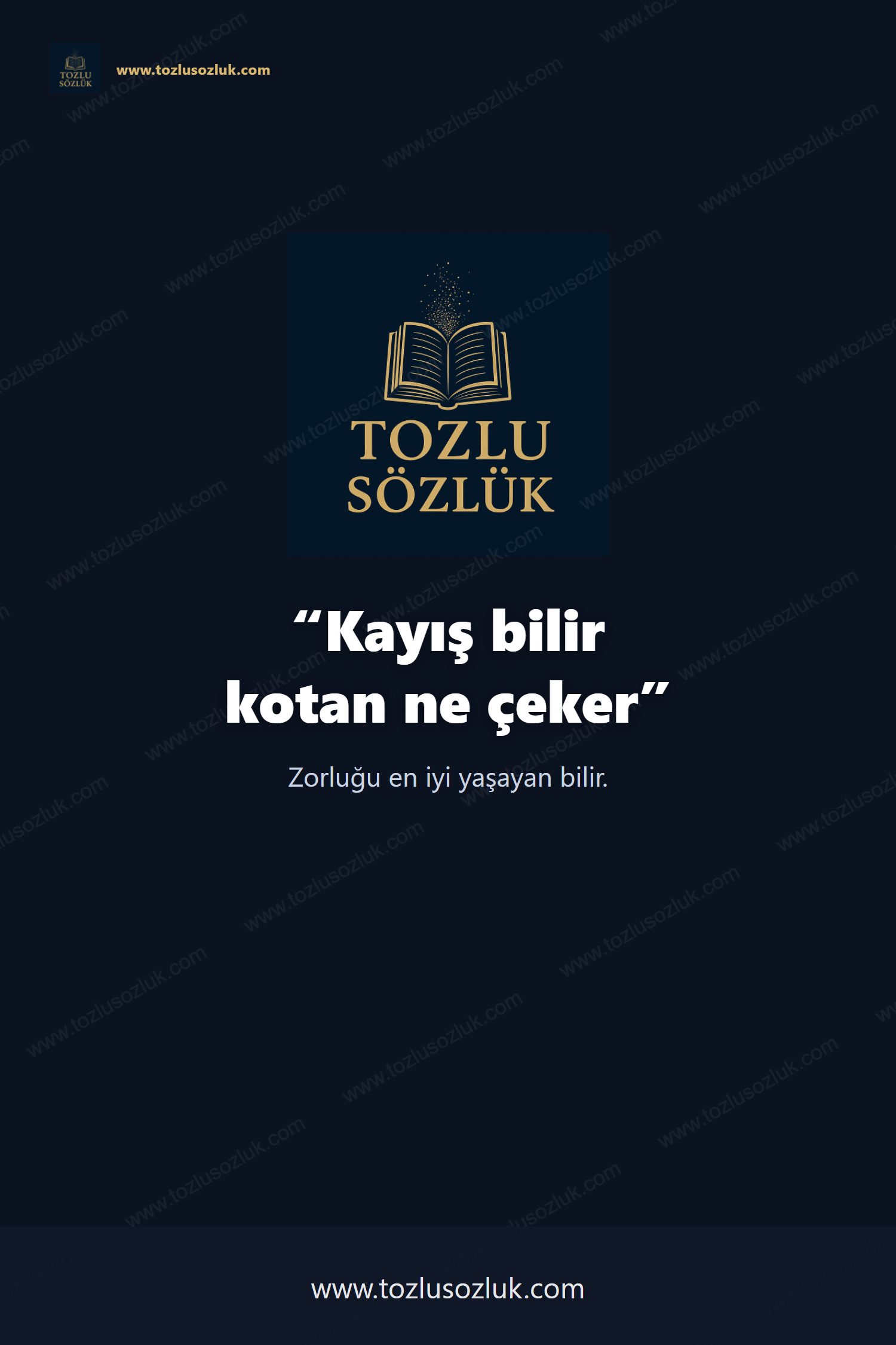 Kayış bilir kotan ne çeker Pinterest görseli