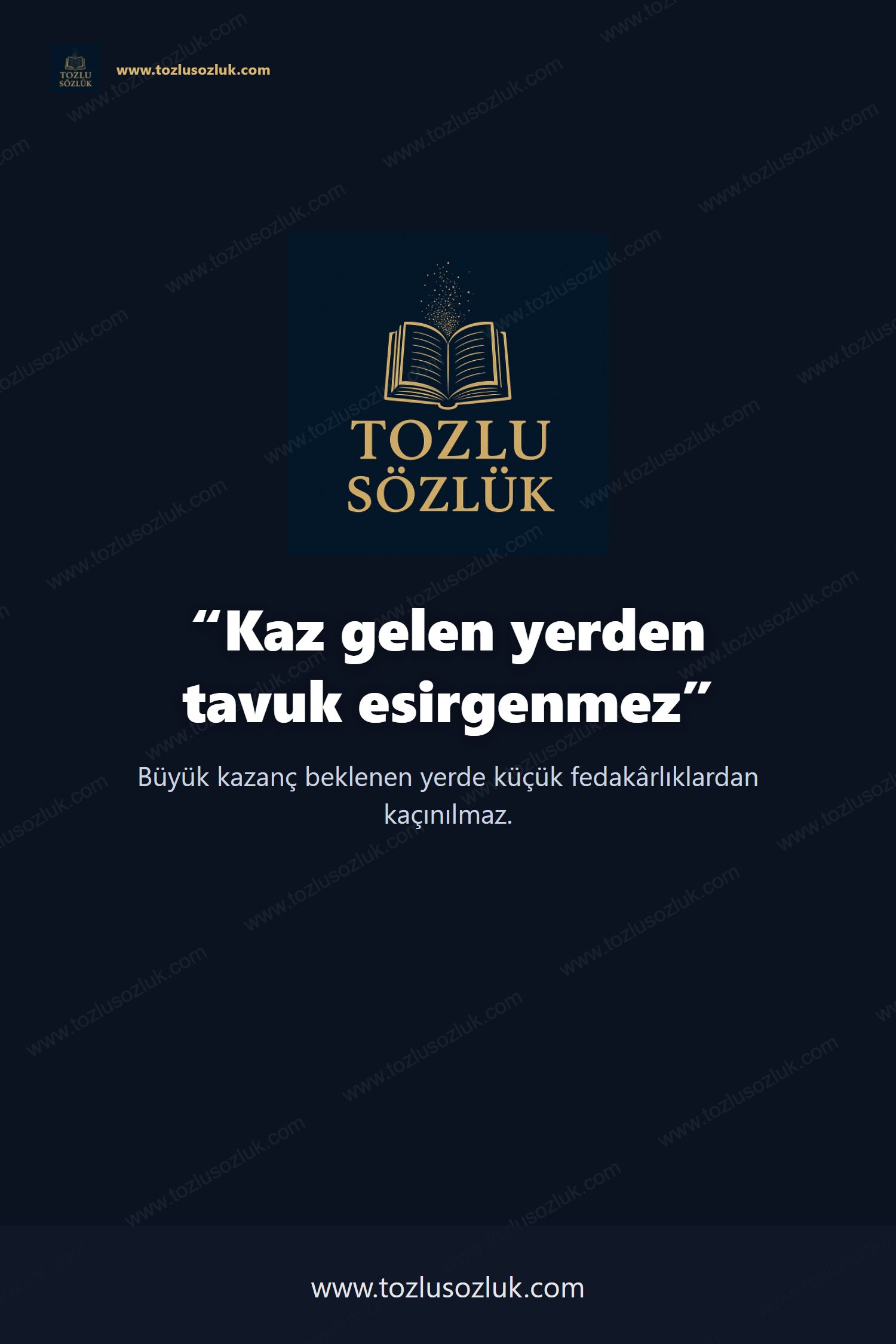 Kaz gelen yerden tavuk esirgenmez Pinterest görseli