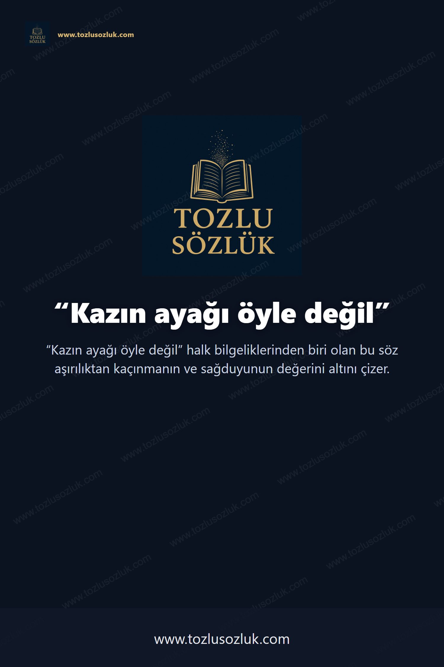 Kazın ayağı öyle değil Pinterest görseli