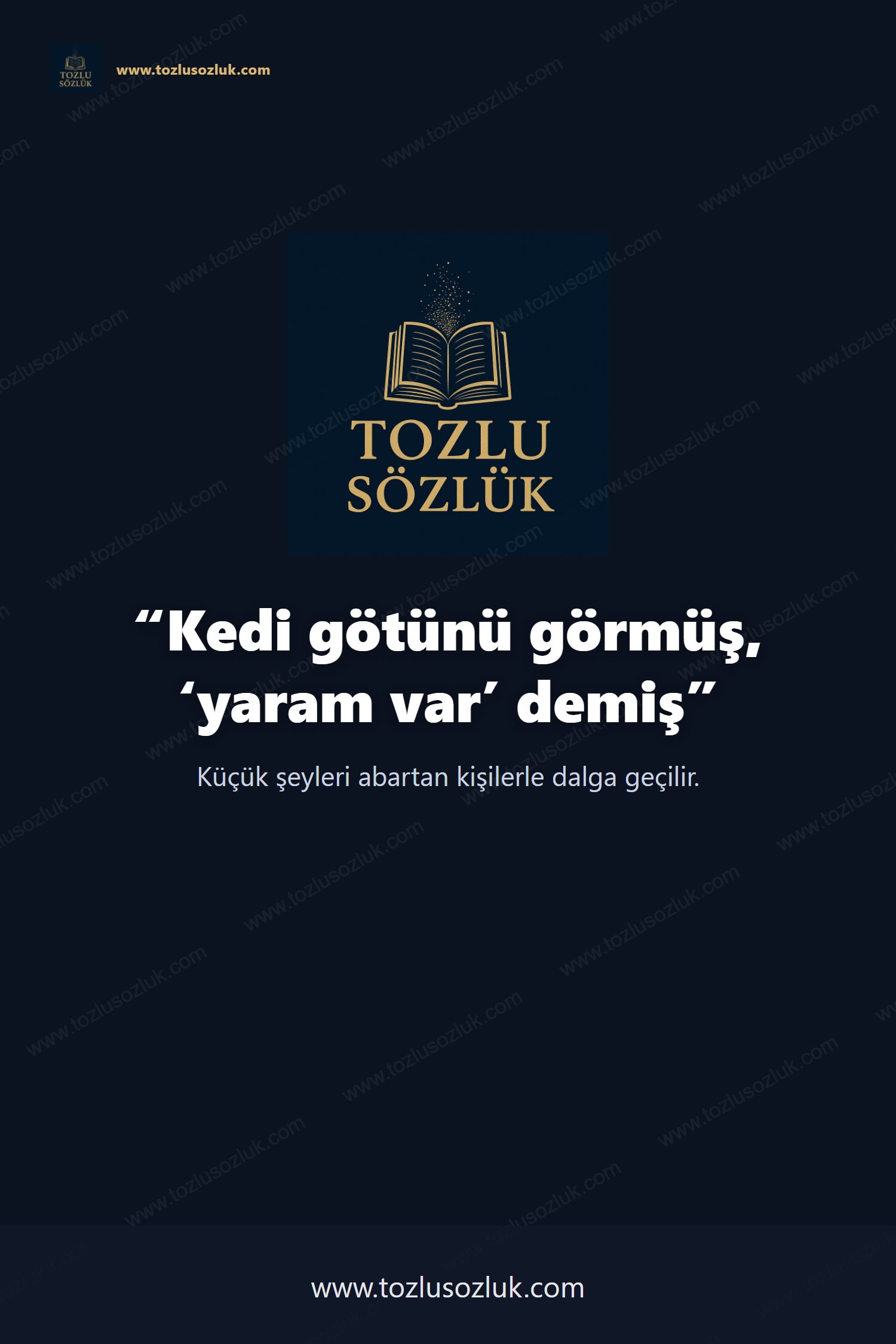 Kedi götünü görmüş, ‘yaram var’ demiş Pinterest görseli