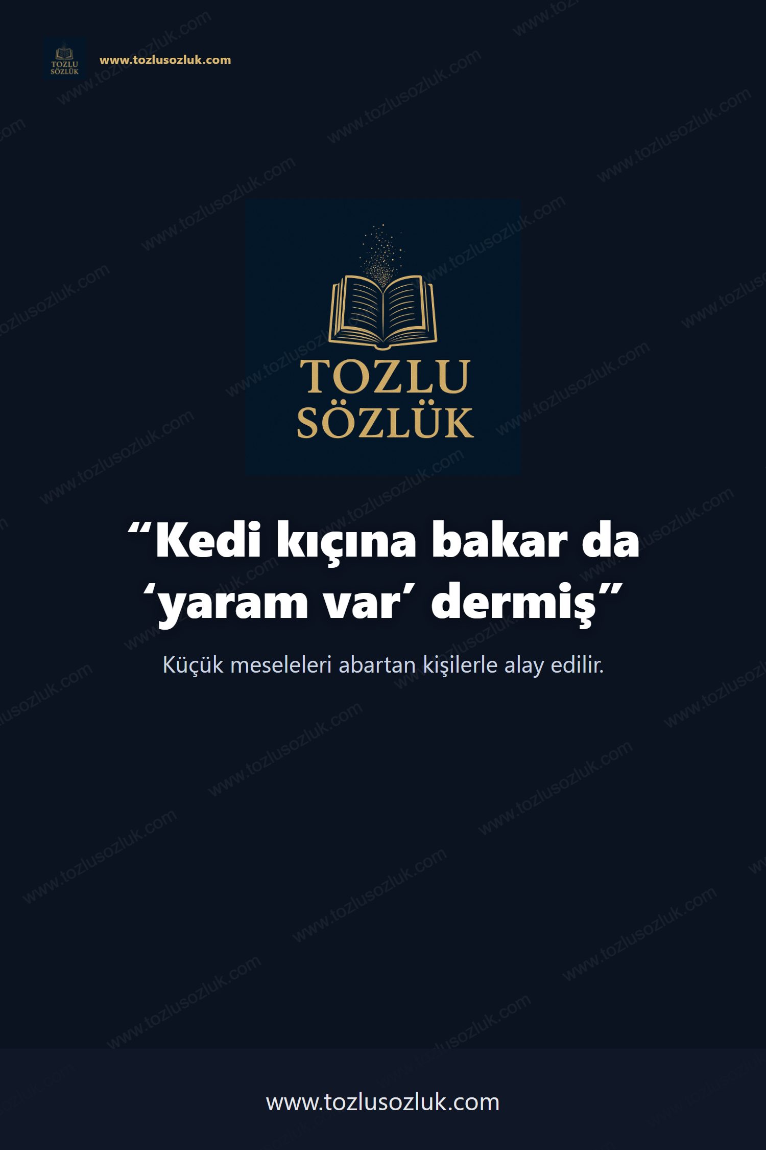 Kedi kıçına bakar da ‘yaram var’ dermiş Pinterest görseli