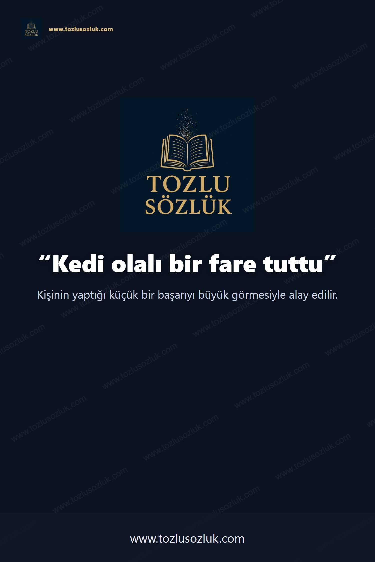 Kedi olalı bir fare tuttu Pinterest görseli