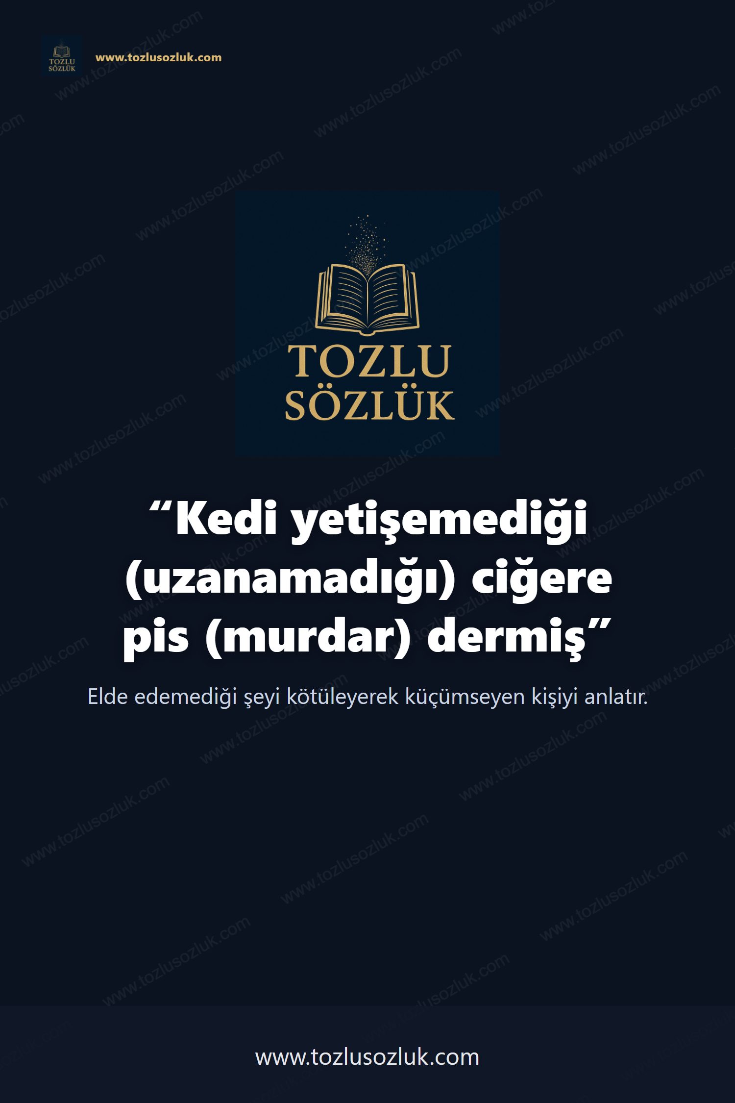 Kedi yetişemediği (uzanamadığı) ciğere pis (murdar) dermiş Pinterest görseli