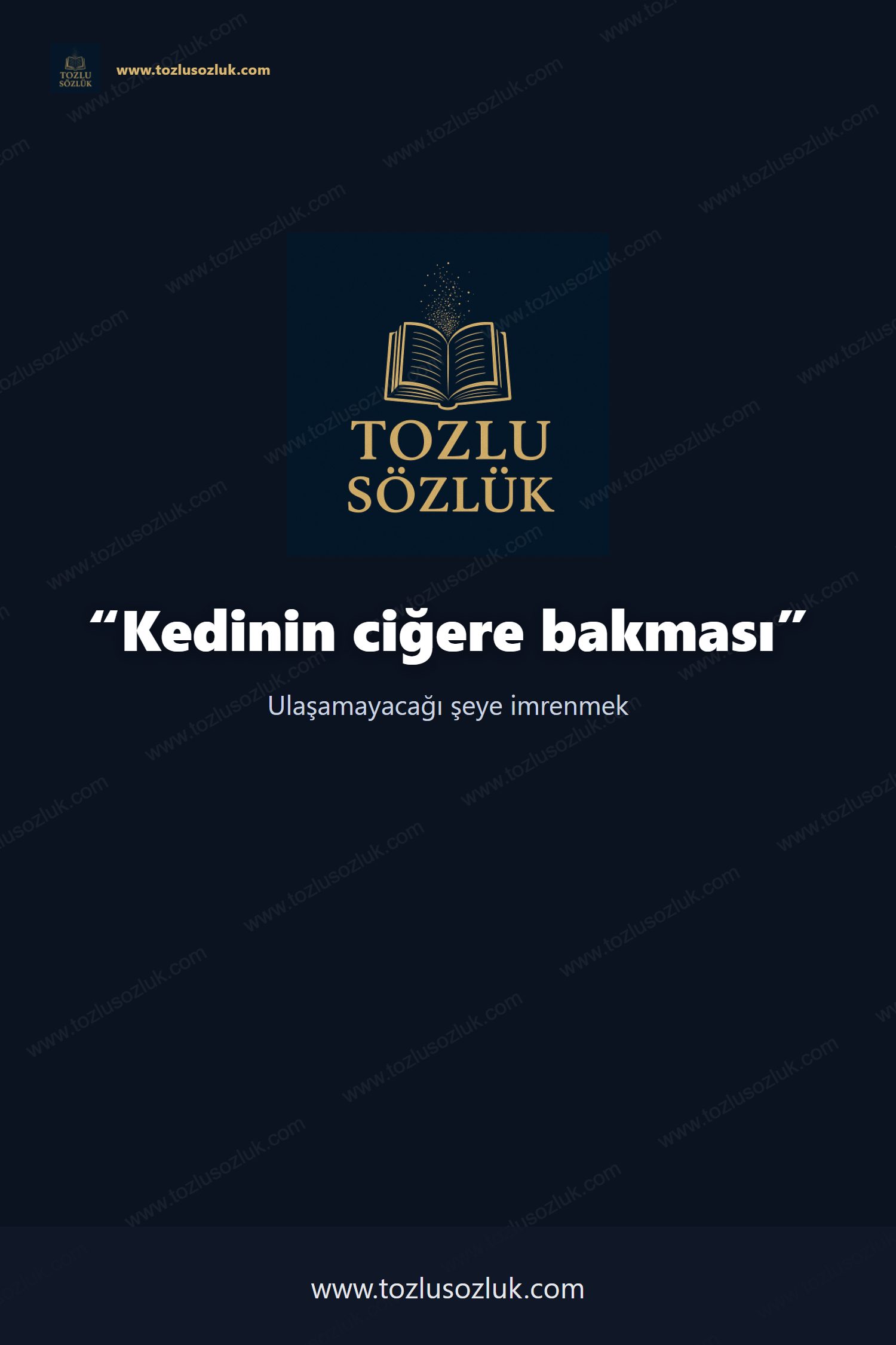 Kedinin ciğere bakması Pinterest görseli