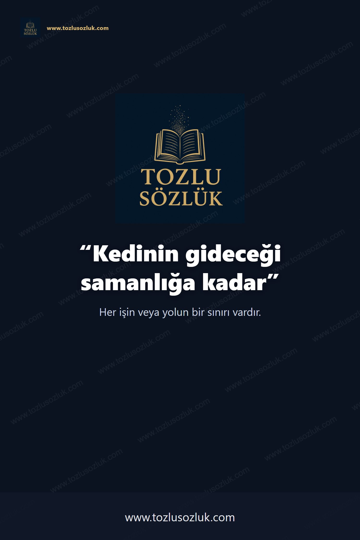 Kedinin gideceği samanlığa kadar Pinterest görseli