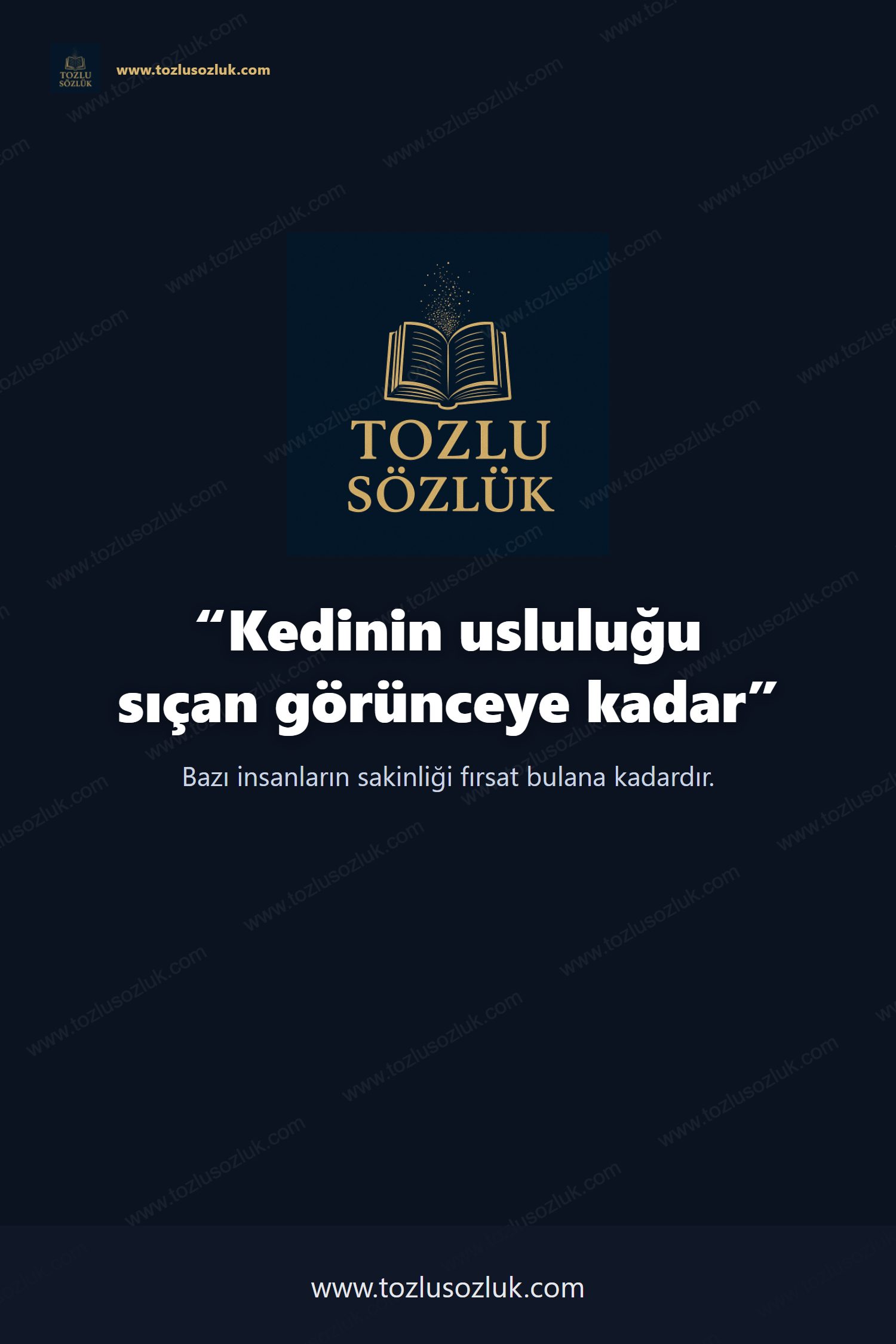 Kedinin usluluğu sıçan görünceye kadar Pinterest görseli