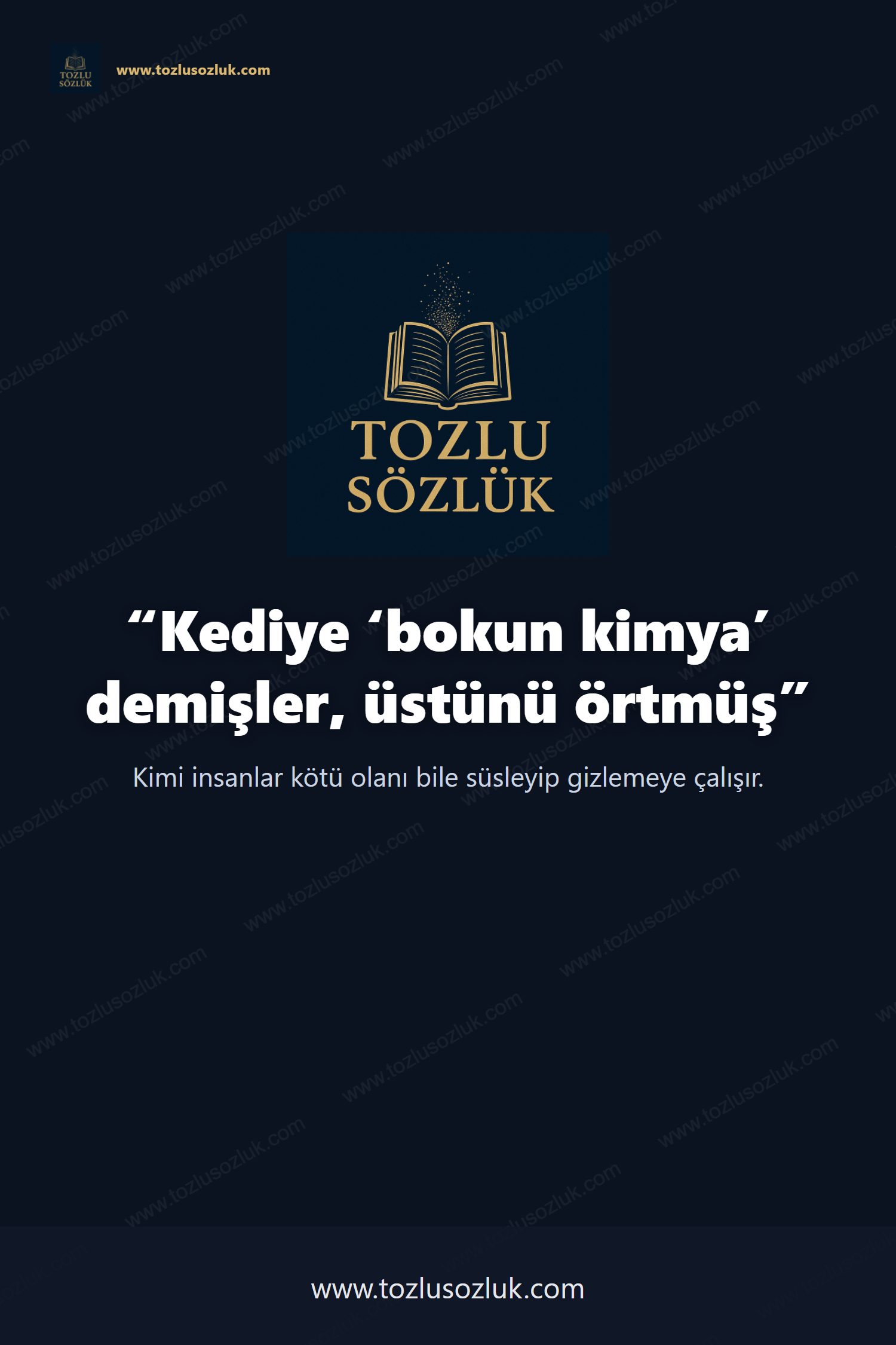 Kediye ‘bokun kimya’ demişler, üstünü örtmüş Pinterest görseli