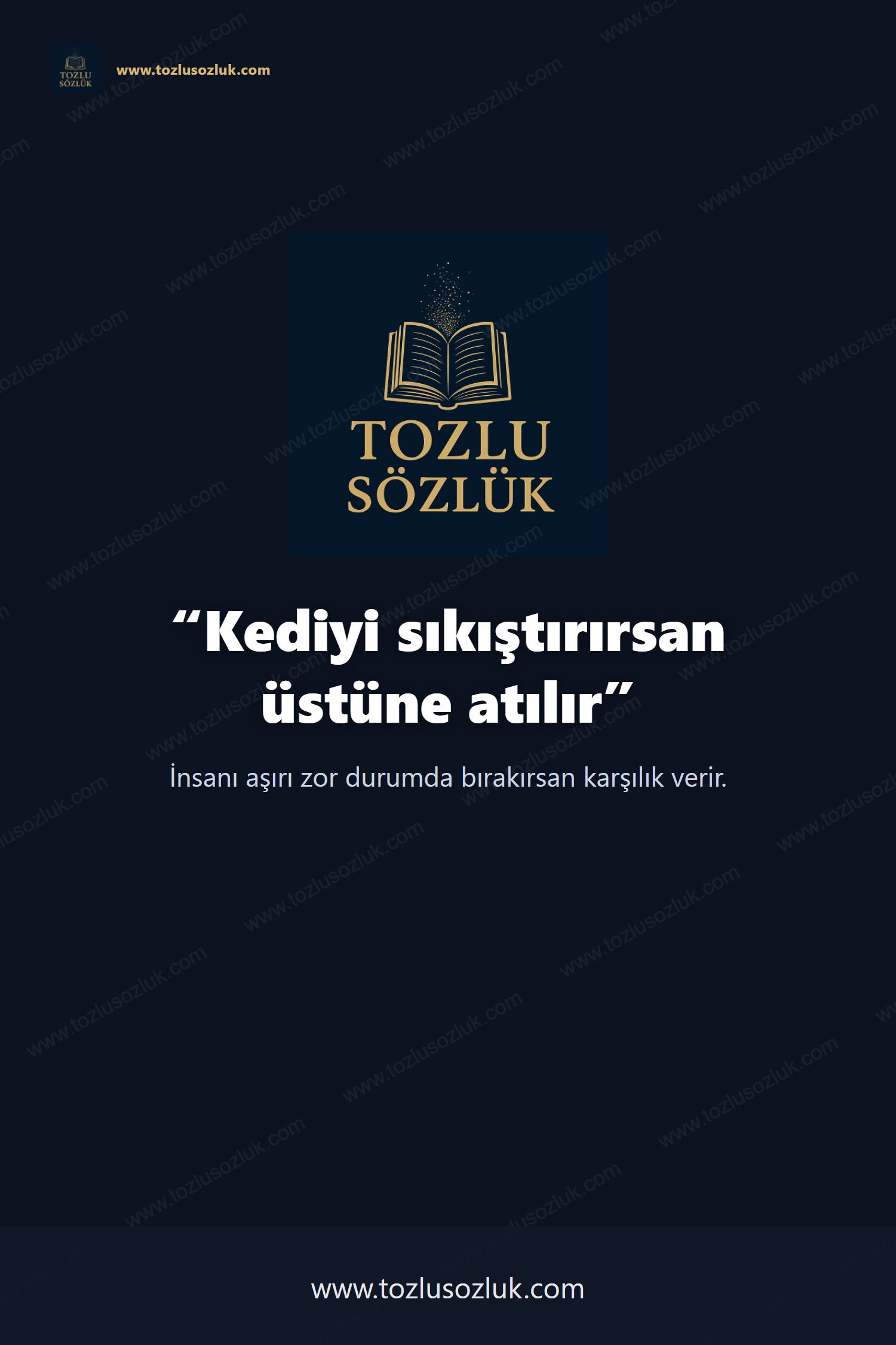 Kediyi sıkıştırırsan üstüne atılır Pinterest görseli