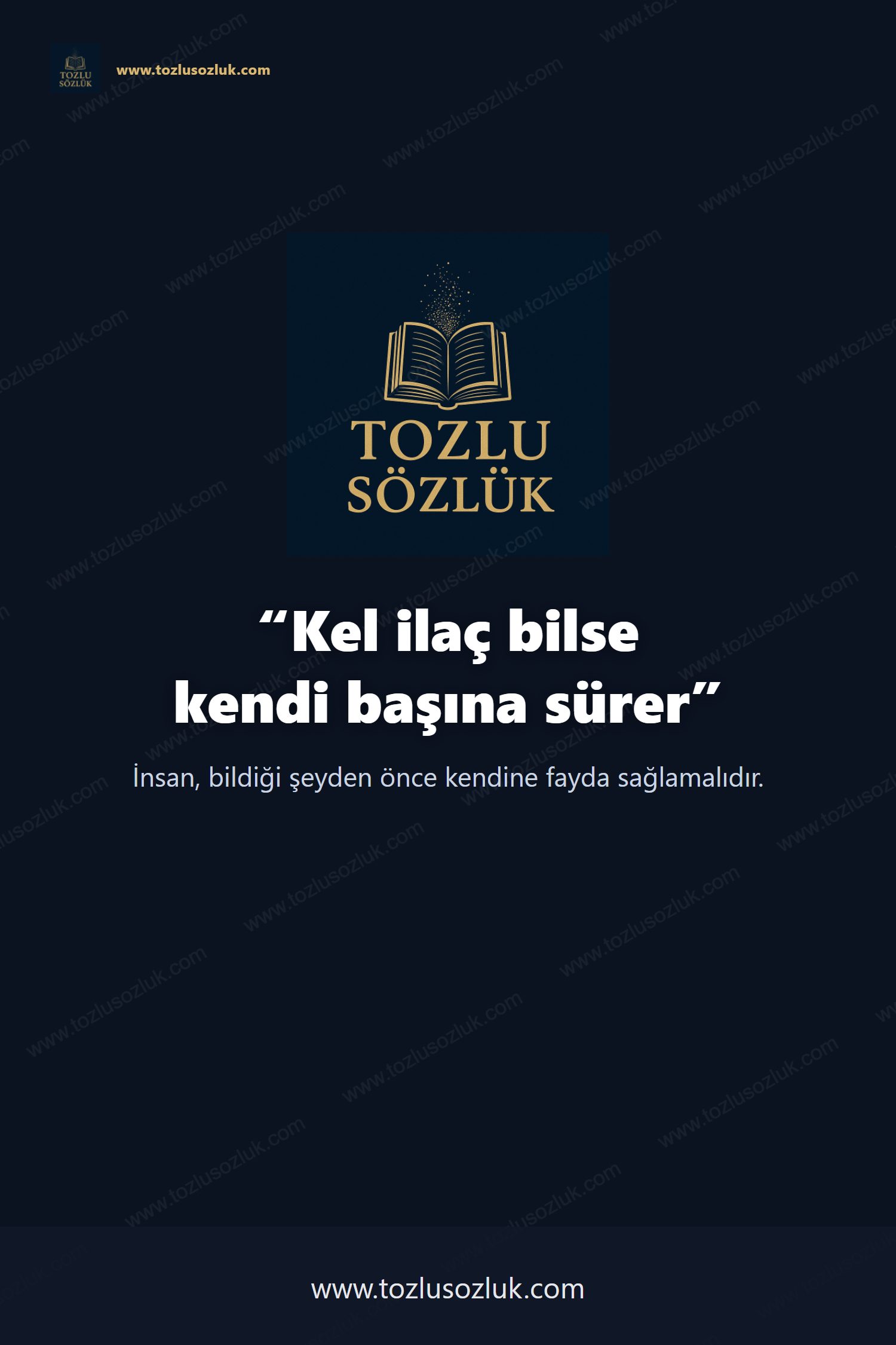 Kel ilaç bilse kendi başına sürer Pinterest görseli