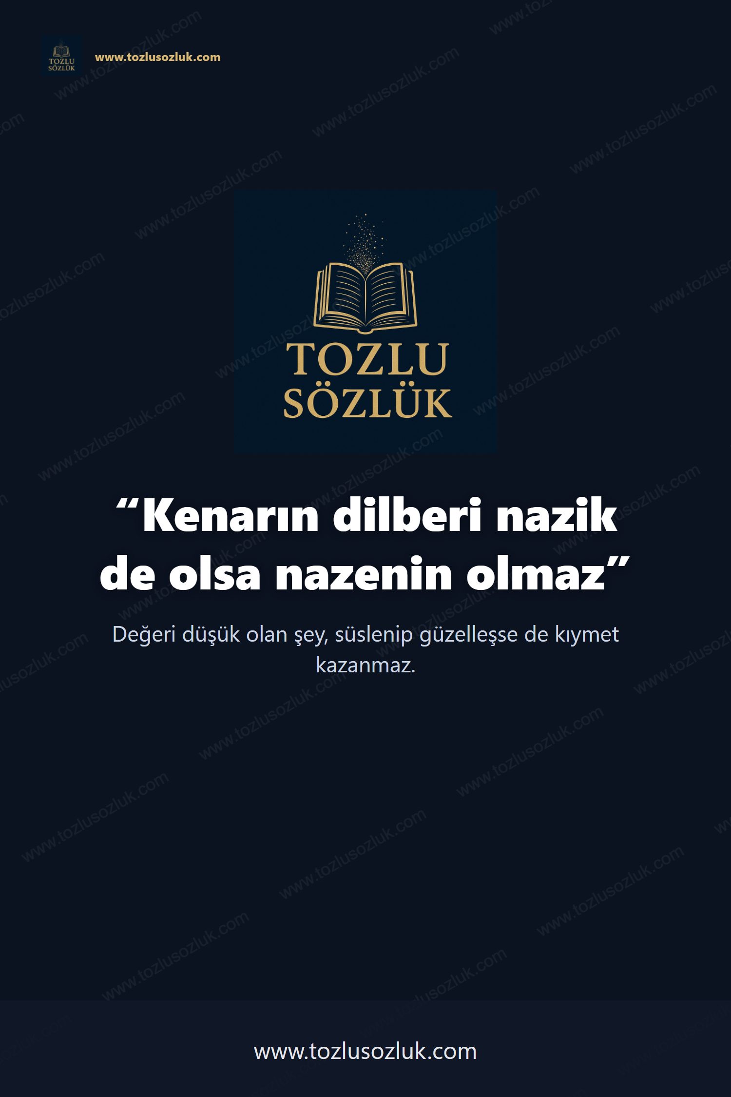 Kenarın dilberi nazik de olsa nazenin olmaz Pinterest görseli
