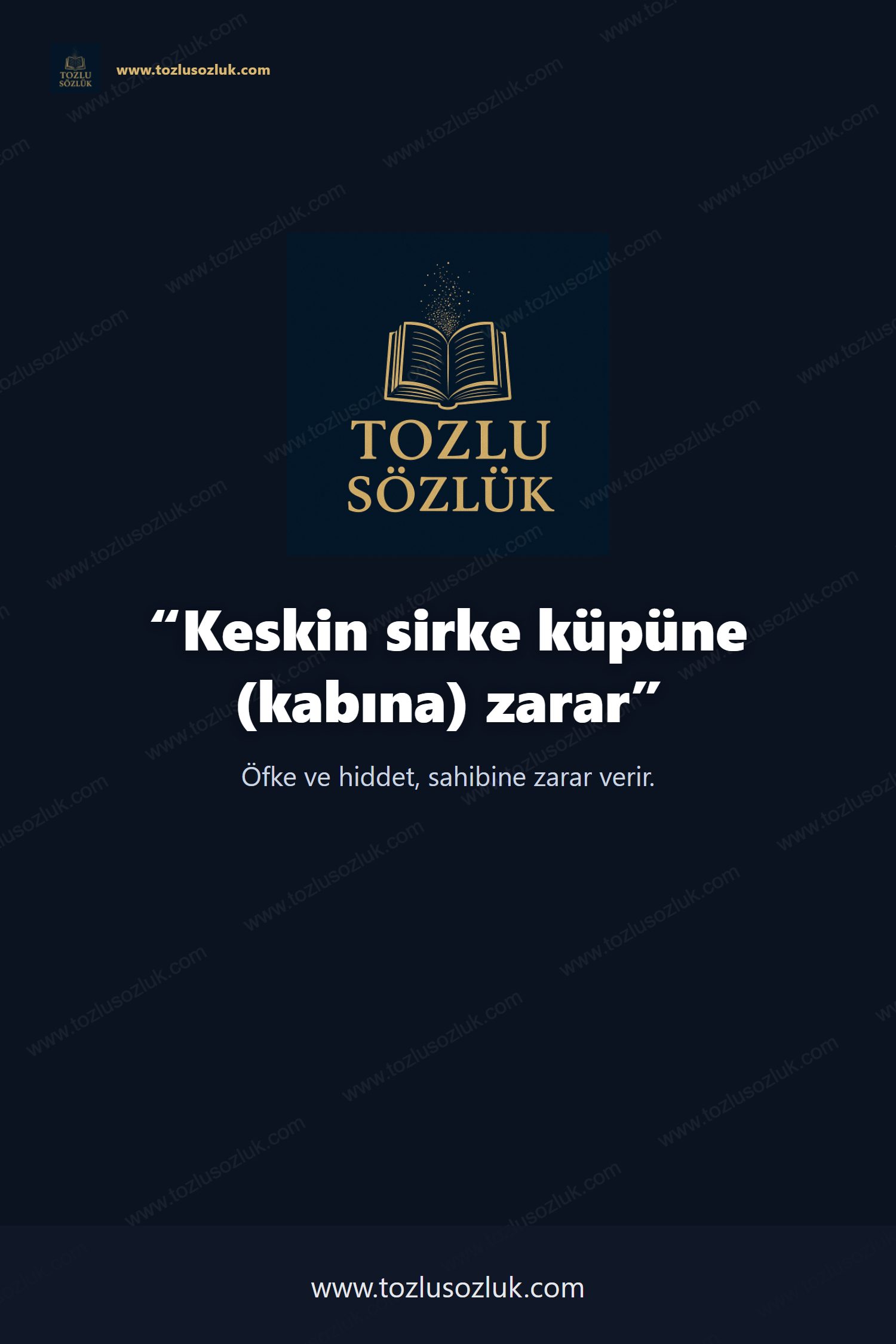 Keskin sirke küpüne (kabına) zarar Pinterest görseli
