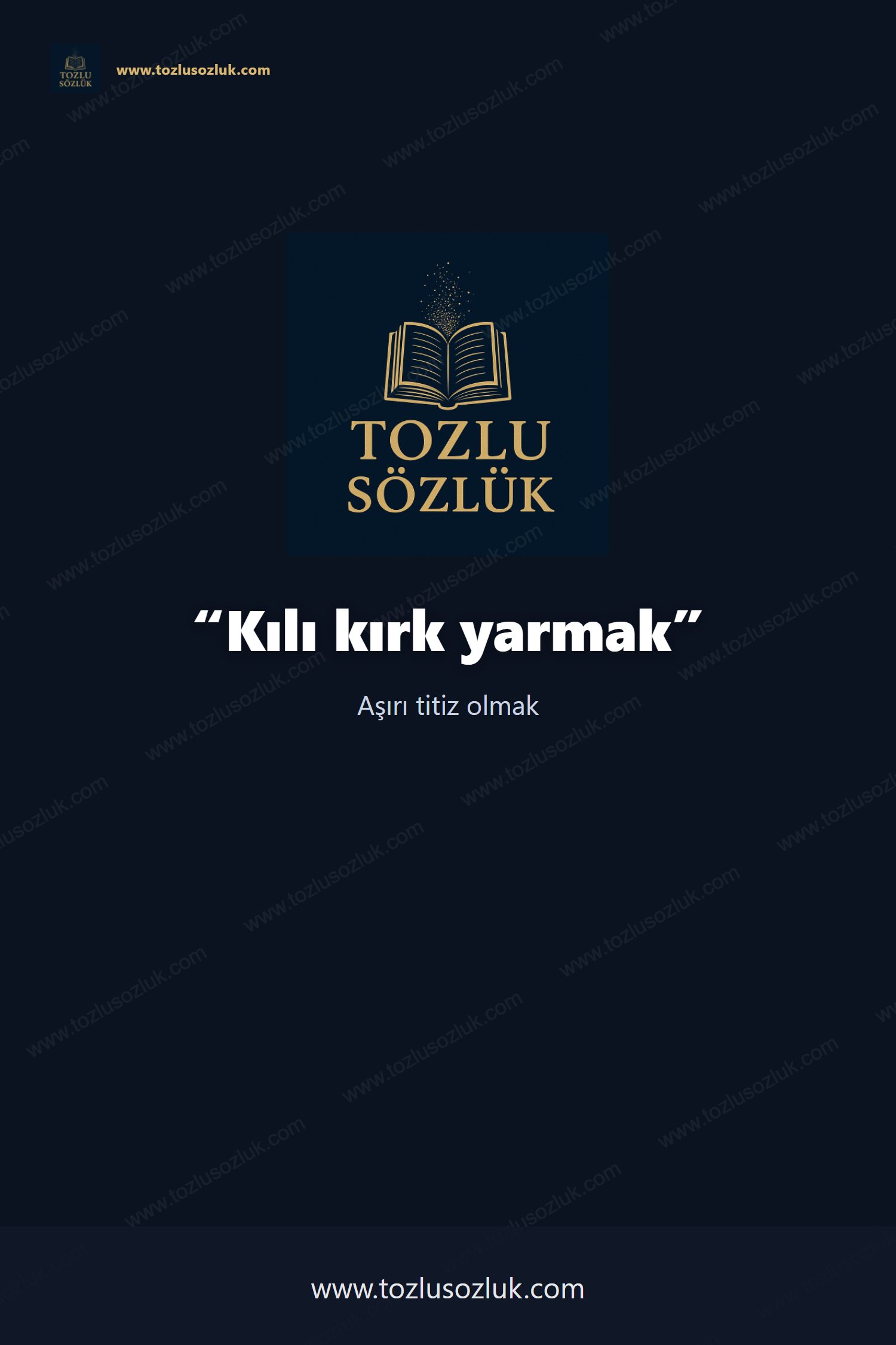 Kılı kırk yarmak Pinterest görseli