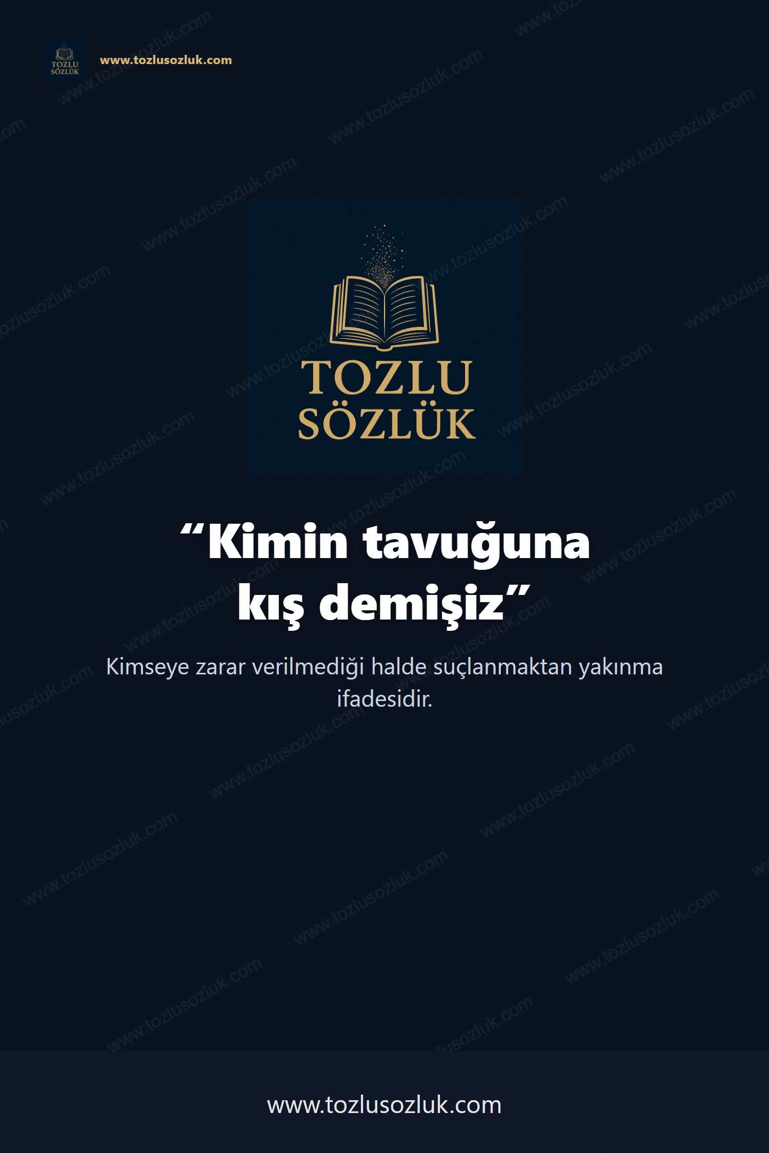 Kimin tavuğuna kış demişiz Pinterest görseli