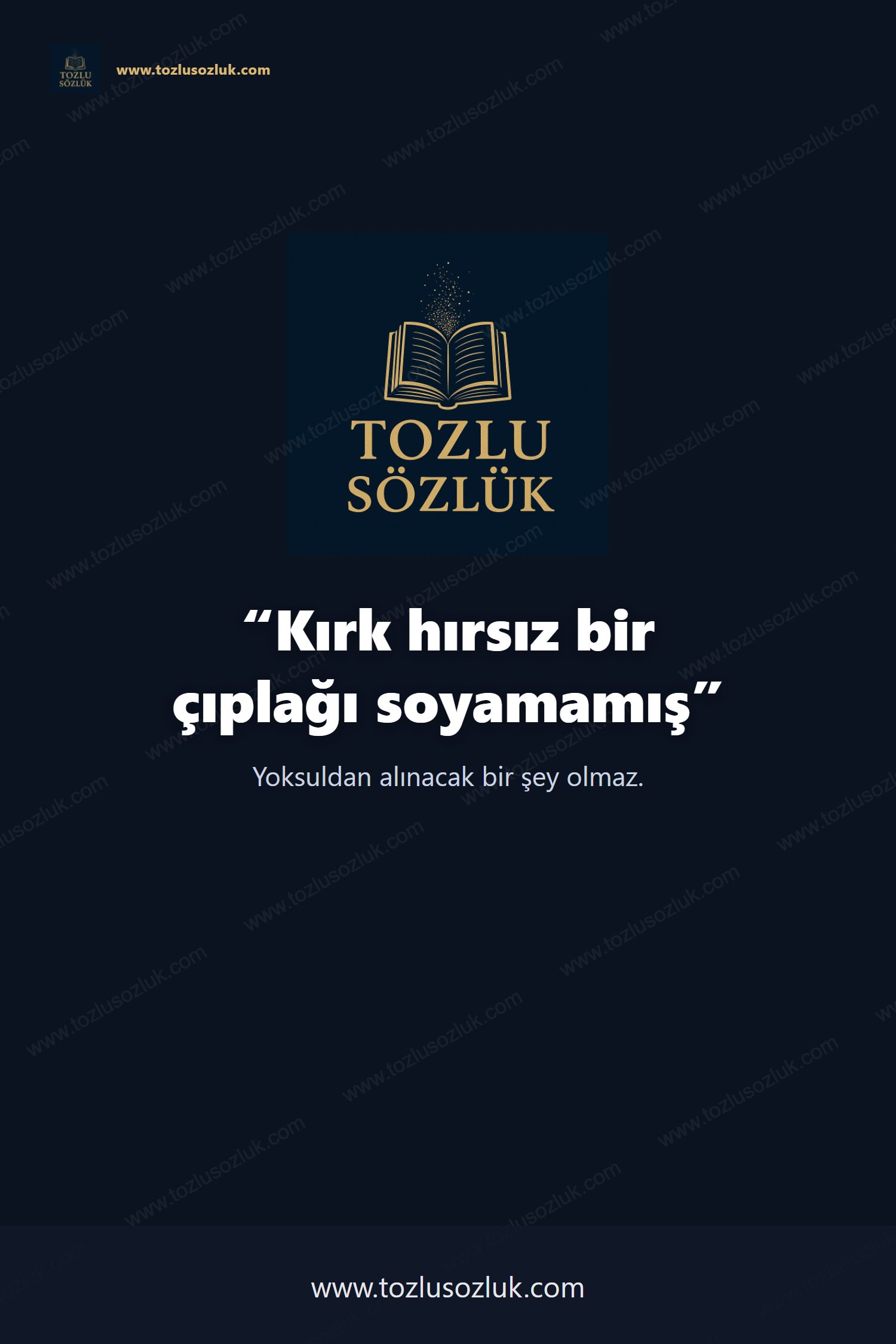 Kırk hırsız bir çıplağı soyamamış Pinterest görseli