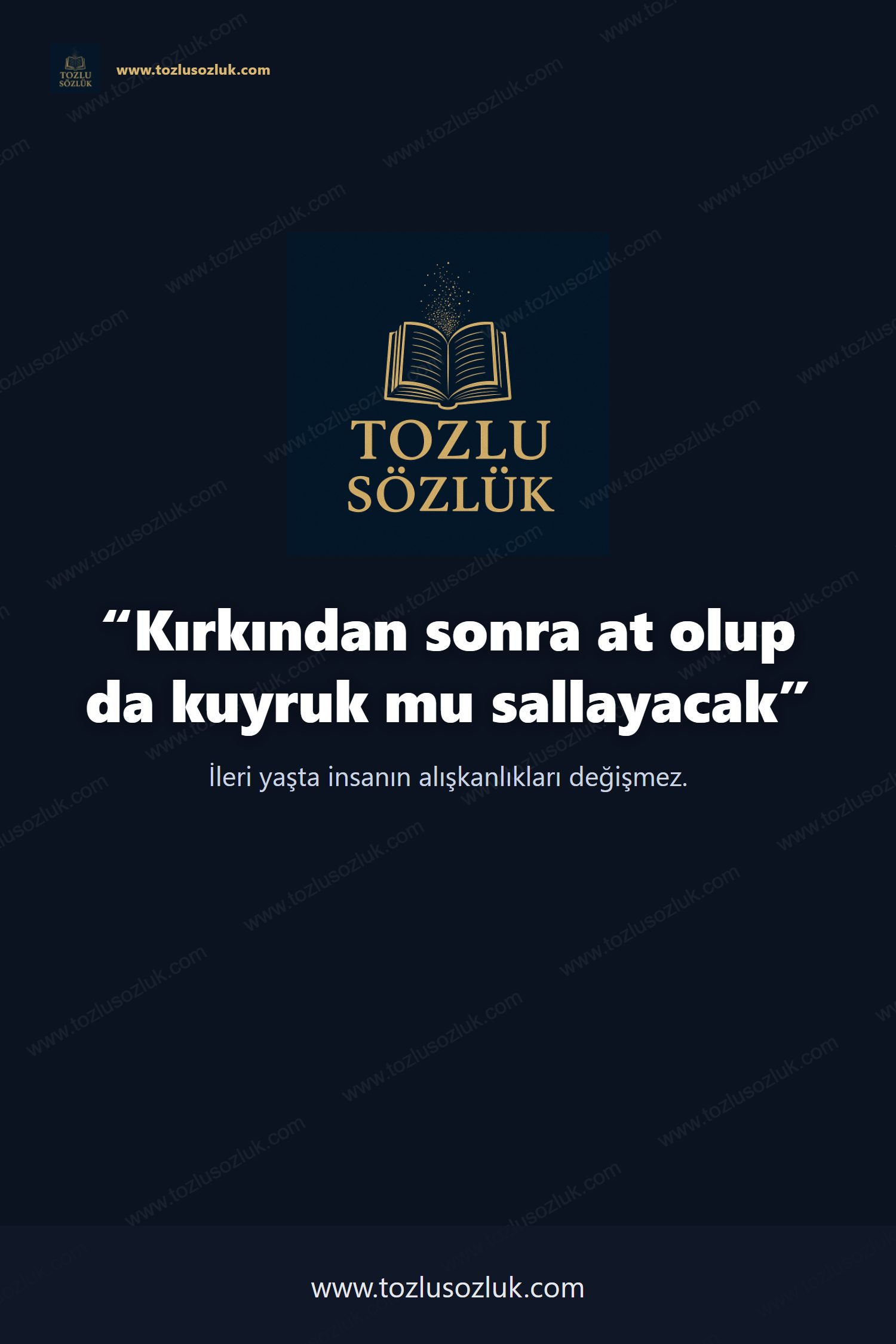 Kırkından sonra at olup da kuyruk mu sallayacak Pinterest görseli