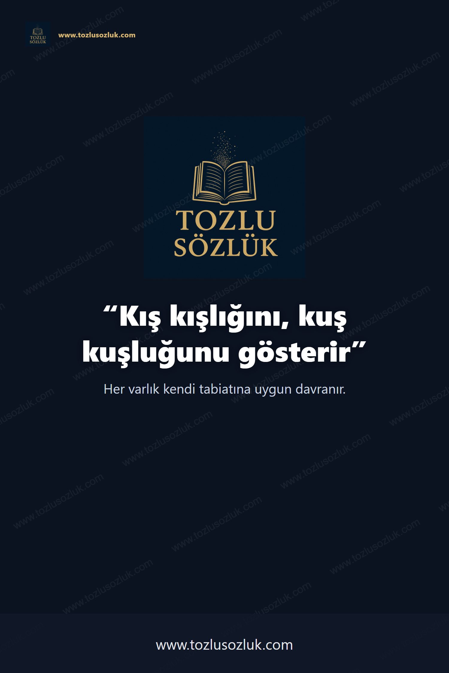 Kış kışlığını, kuş kuşluğunu gösterir Pinterest görseli