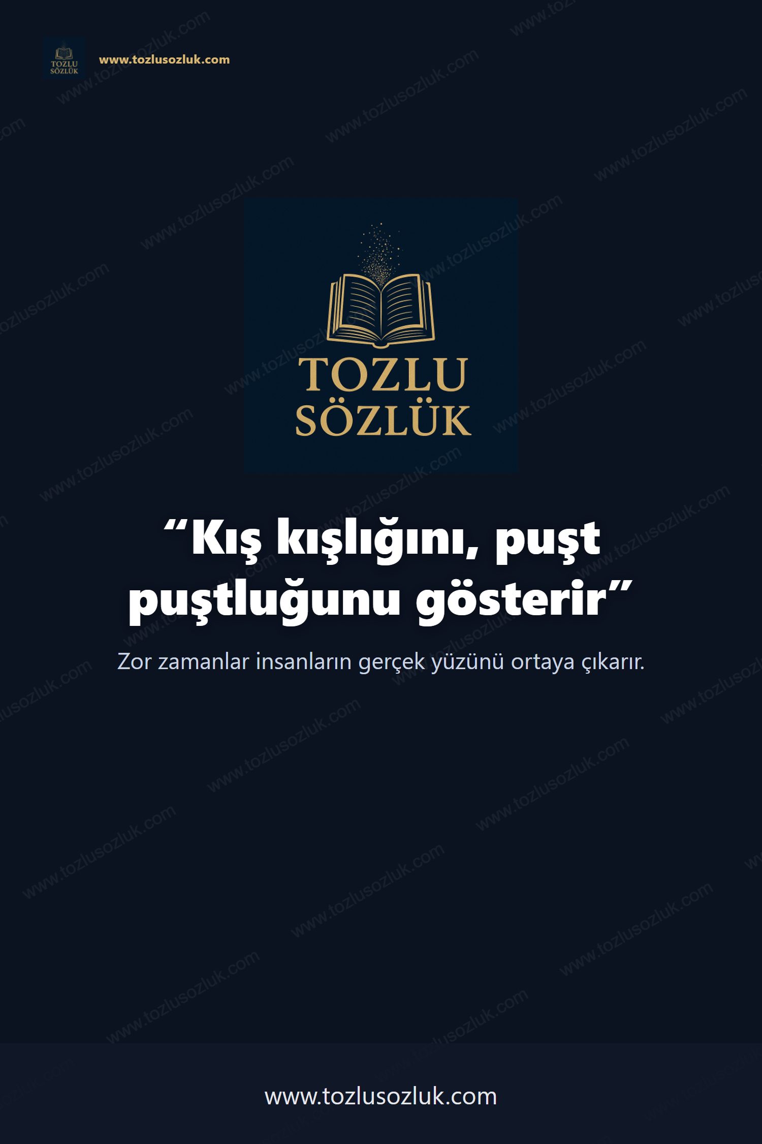 Kış kışlığını, puşt puştluğunu gösterir Pinterest görseli