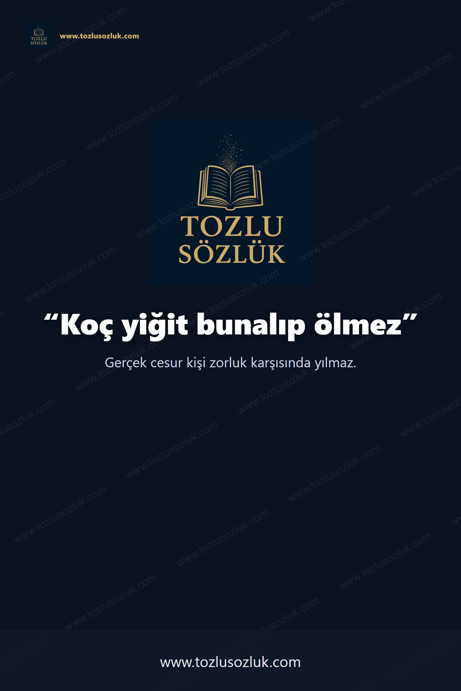 Koç yiğit bunalıp ölmez Pinterest görseli