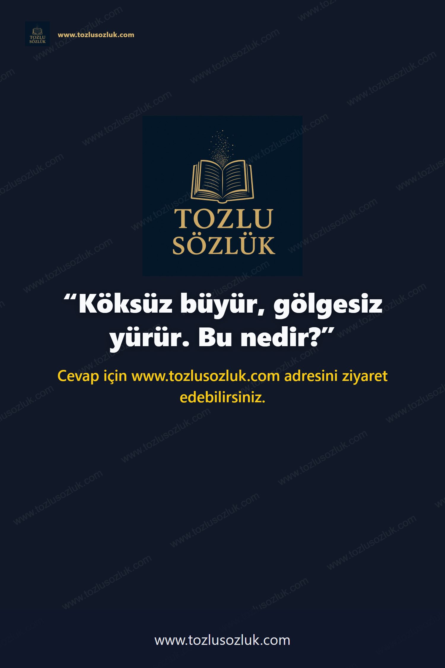 Köksüz büyür, gölgesiz yürür. Bu nedir? Pinterest görseli