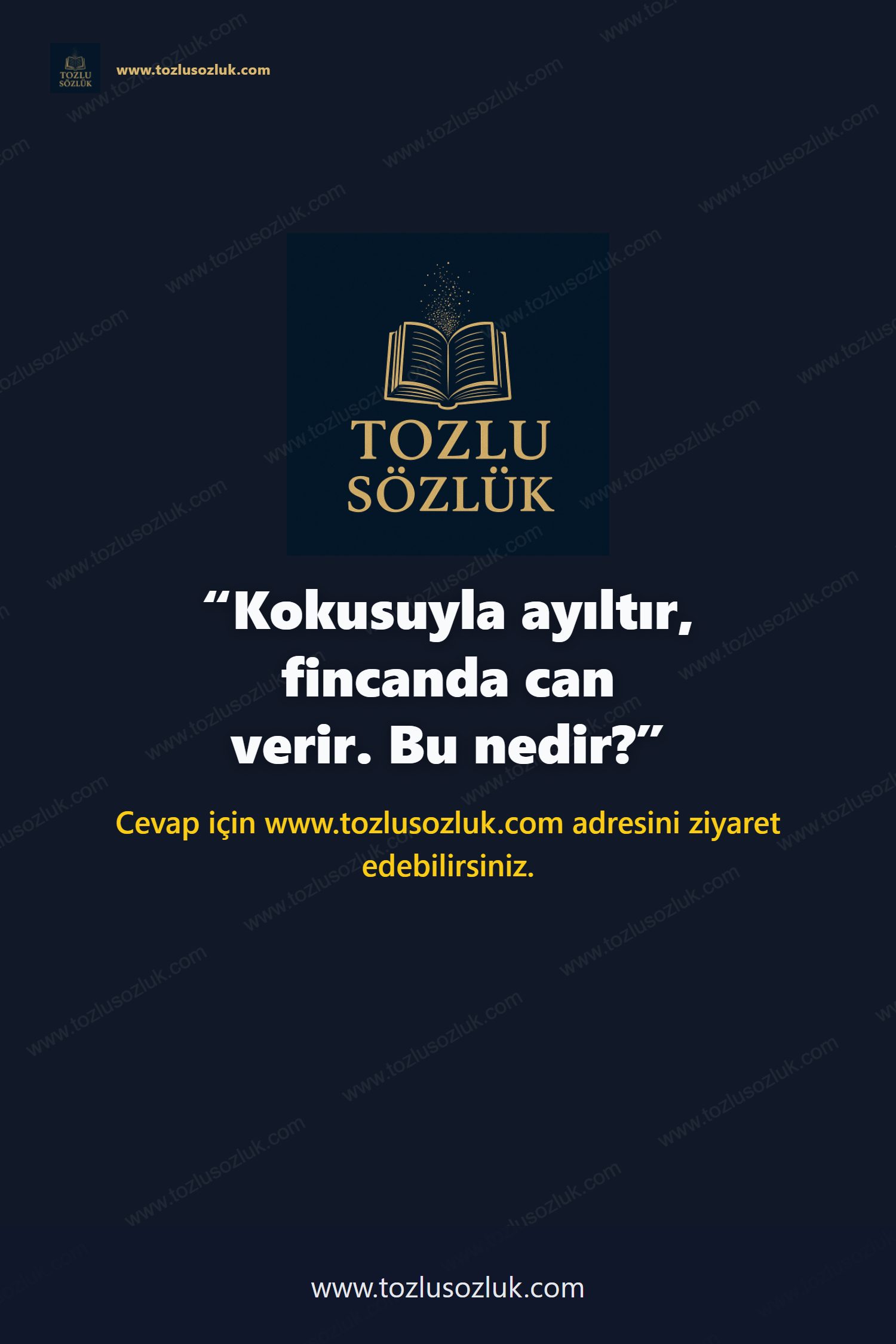 Kokusuyla ayıltır, fincanda can verir. Bu nedir? Pinterest görseli