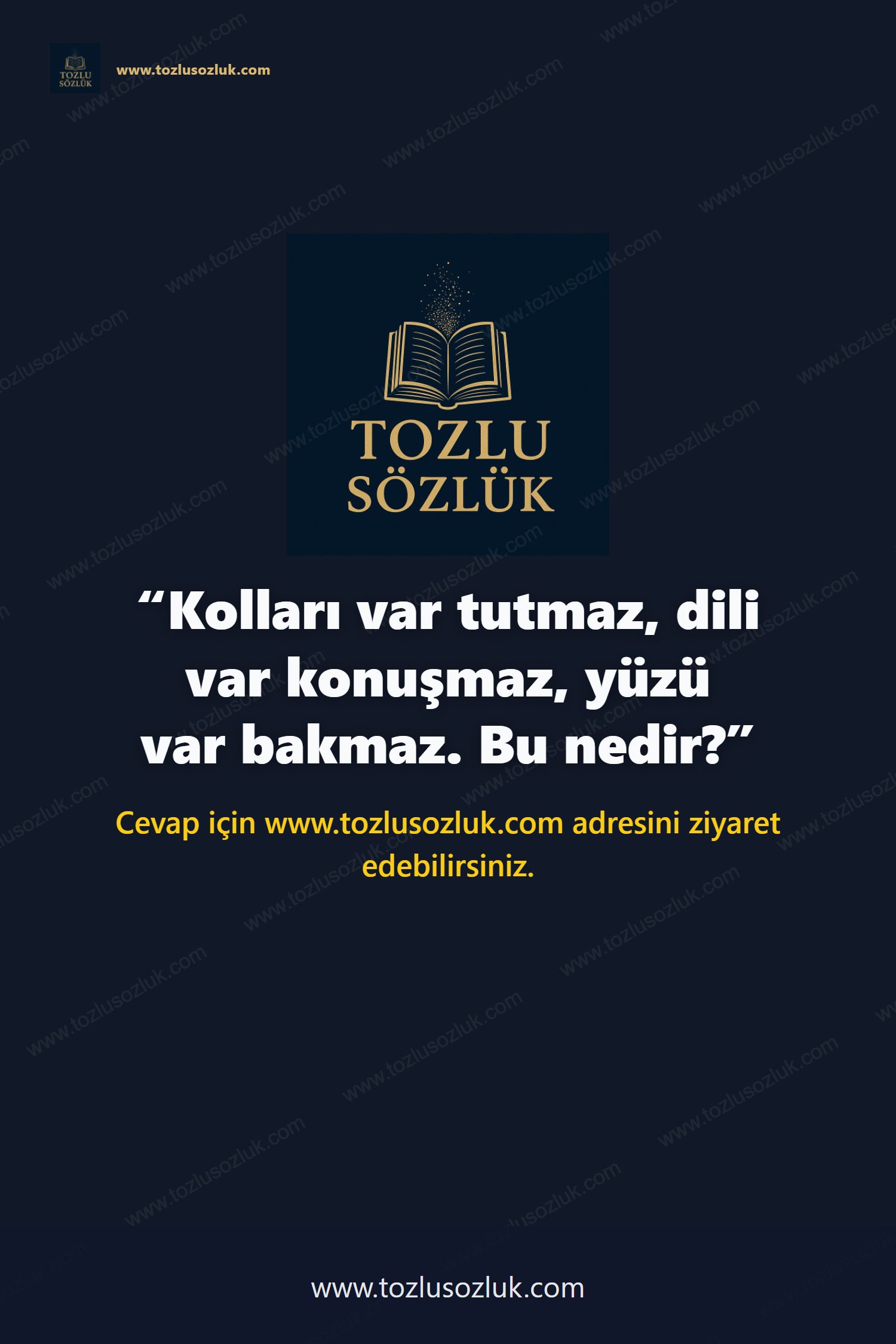 Kolları var tutmaz, dili var konuşmaz, yüzü var bakmaz. Bu nedir? Pinterest görseli