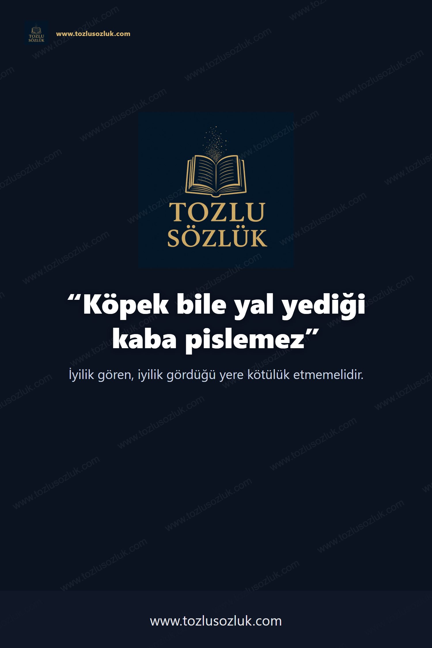 Köpek bile yal yediği kaba pislemez Pinterest görseli